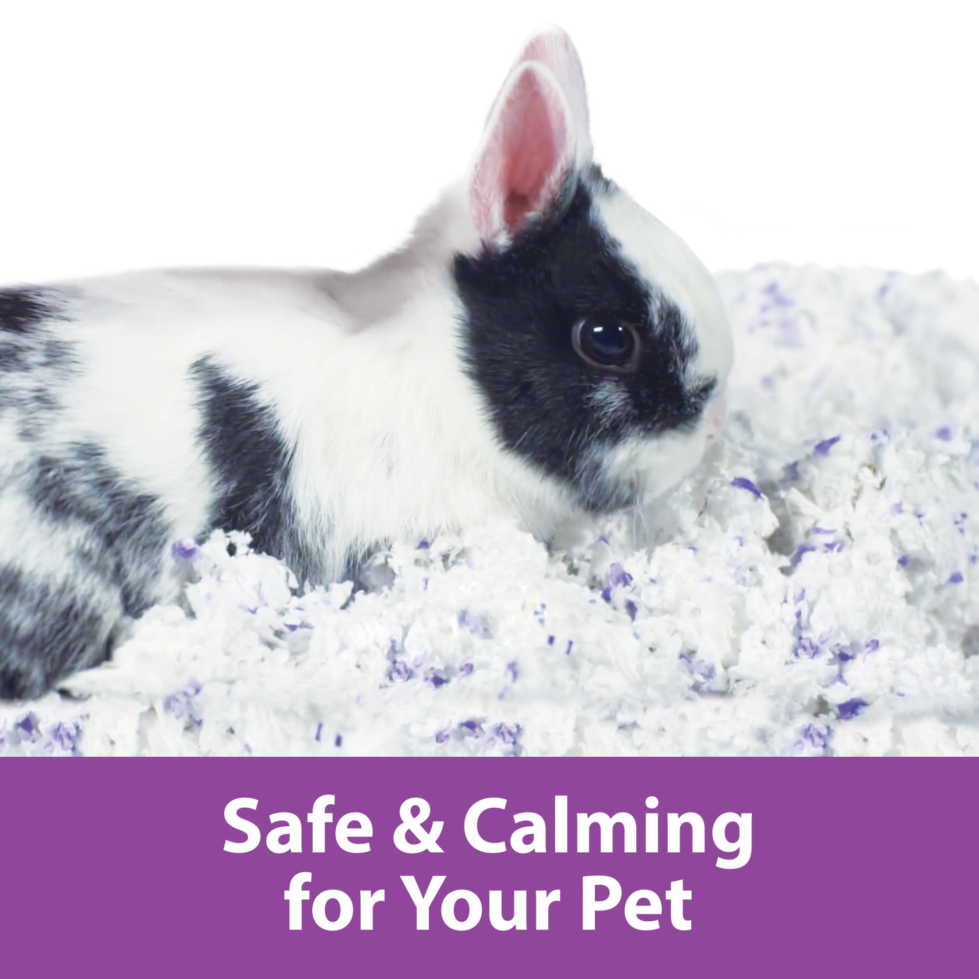 Kaytee Clean & Cozy Lavender Scented Small Animal Bedding, 49.2 Liters (3000 cu. in.)