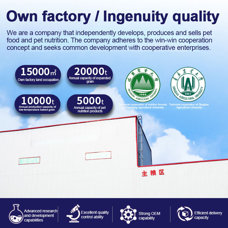 Cheap And High Quality Oem Low Temperauter Baking High Nutrition Absorption Cat Food