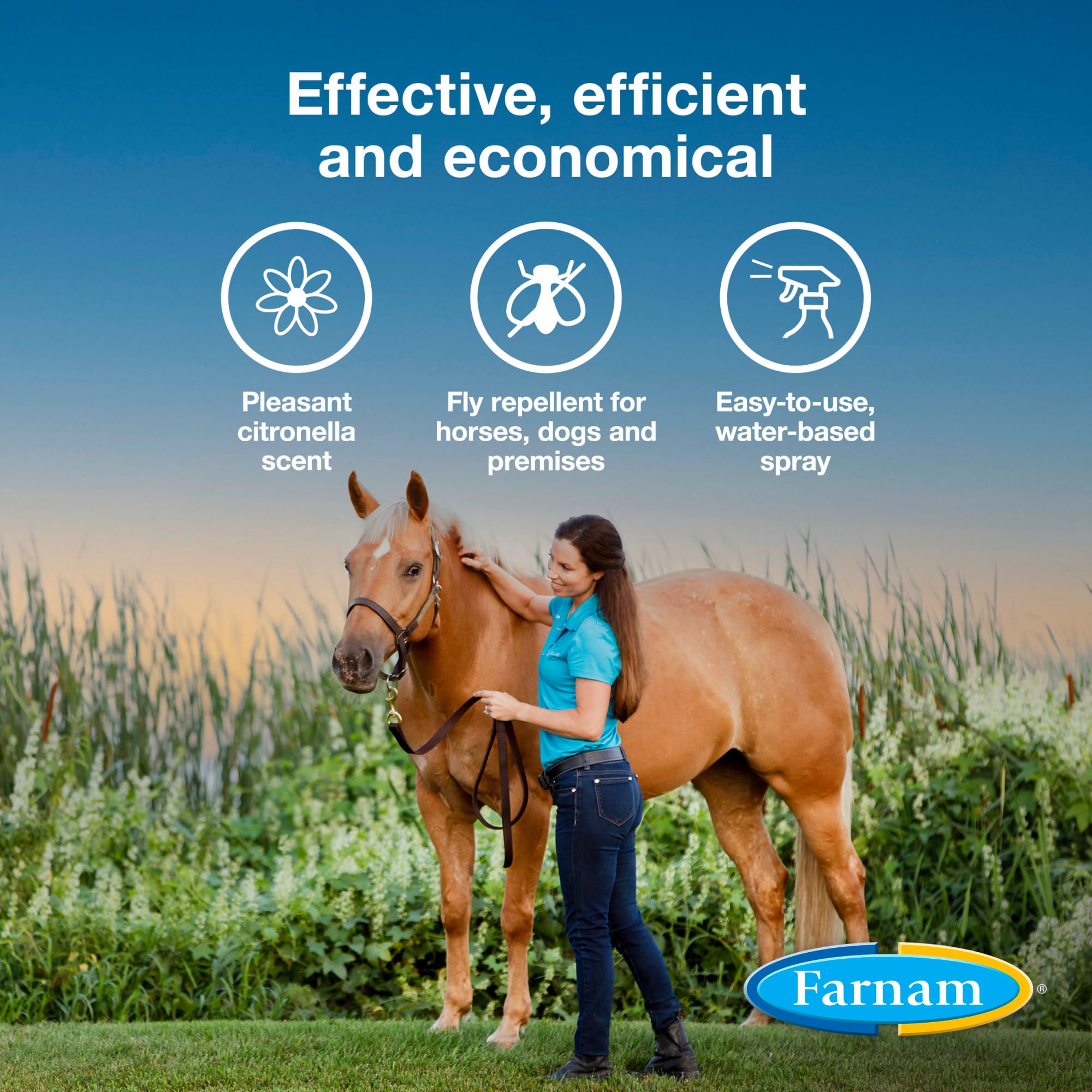Farnam Broncoe Equine Fly Spray With Citronella Scent for Horses & Dogs, 128 fl. oz.