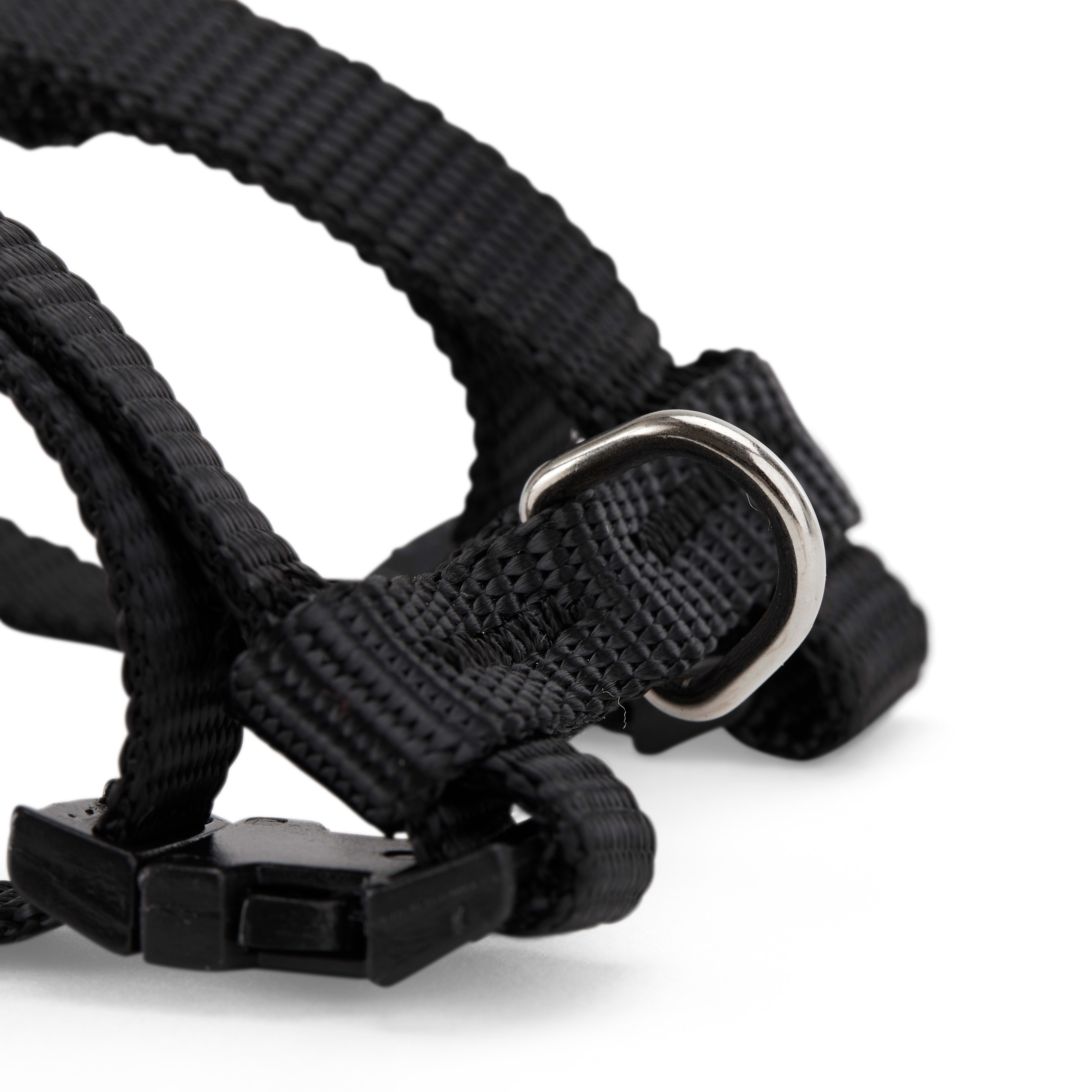 EveryYay Wear with Flair Deluxe Ferret Harness & Lead Set in Various Styles, Small