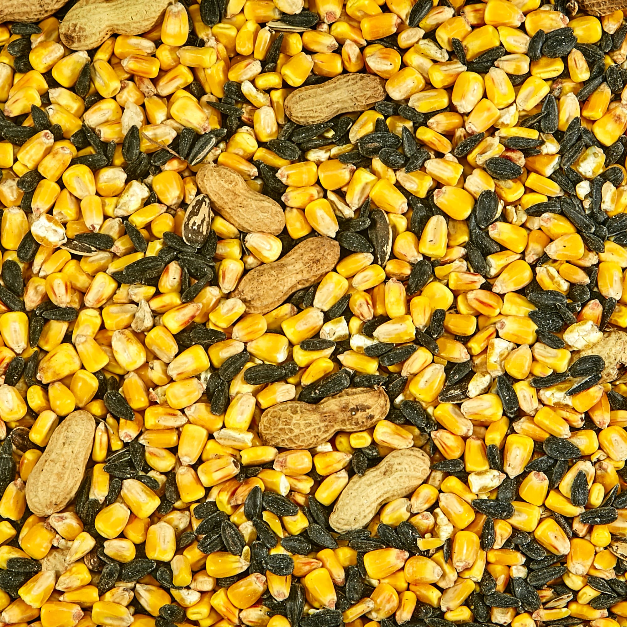 Kaytee Squirrel & Critter Blend Wildlife Food