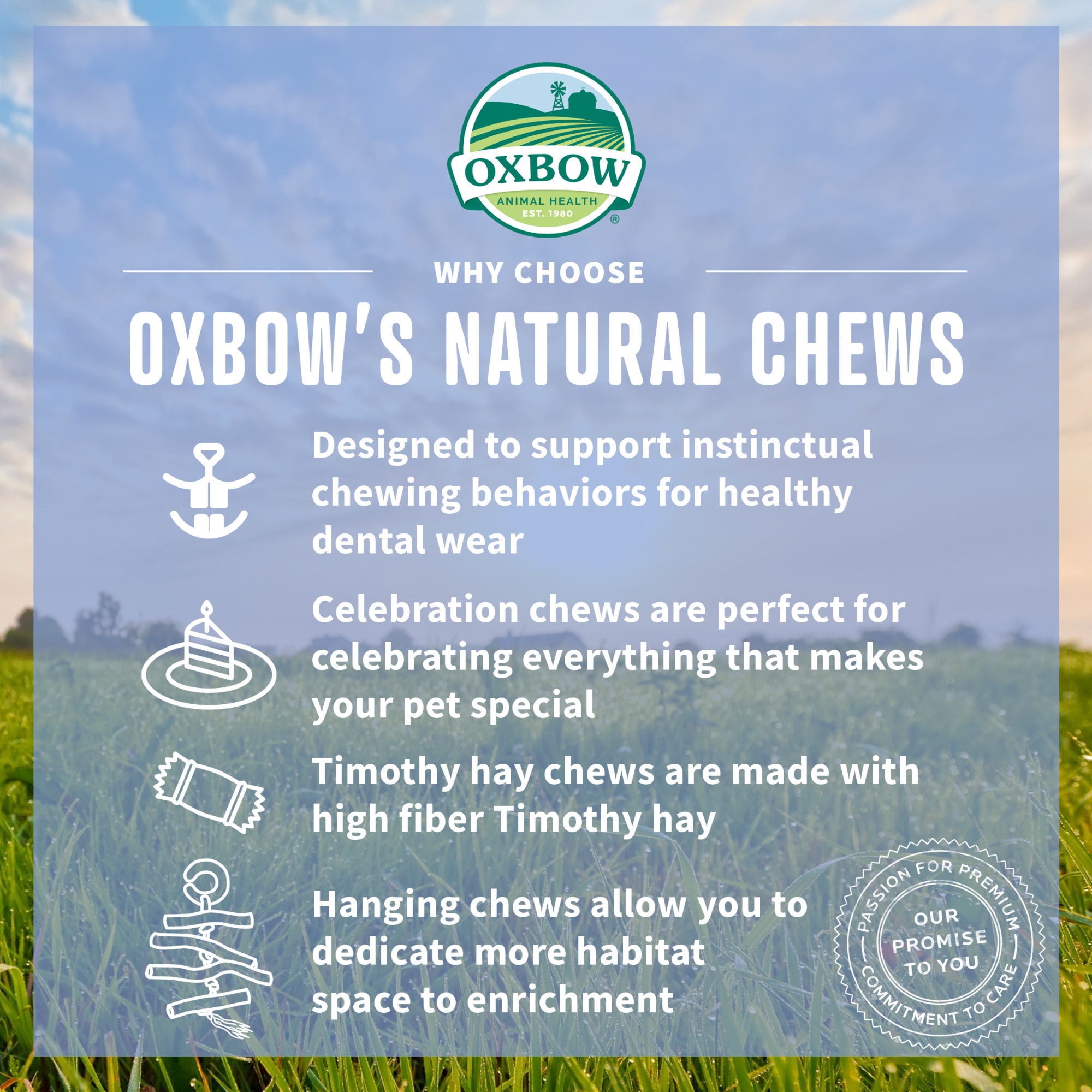 Oxbow Enriched Life Apple Stick Bouquet, 0.12 lb.