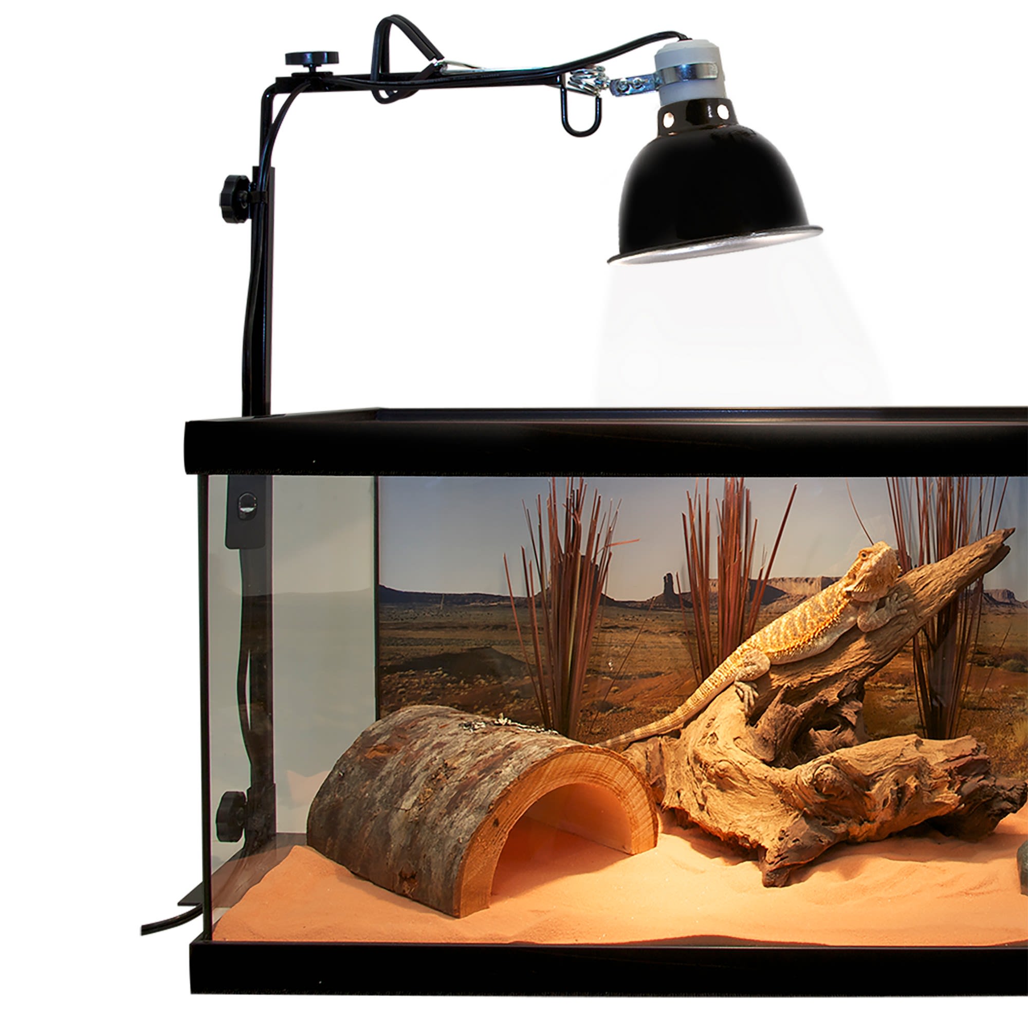 Zoo Med Deluxe Porcelain Clamp Lamp, 5.5"