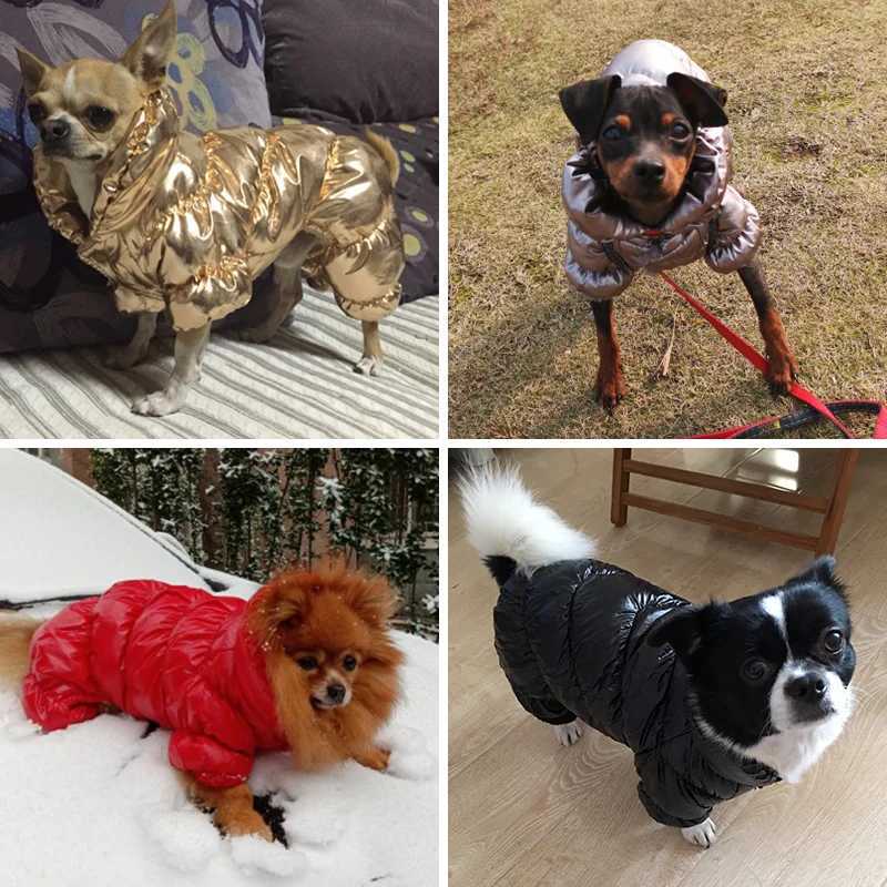 5 Colors Cat Dog Down Jacket Winter Small Medium Dog Clothes for Dogs Shih Tzu Bulldog Jumpsuit Puppy Coat Pet Clothing OverallsXJ241125
