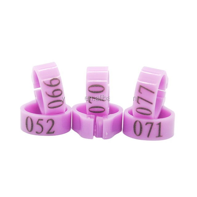 Pigeon Clip digital ring 100pcs/ box with serial number 001-100 for racing pigeon leg ring purple color