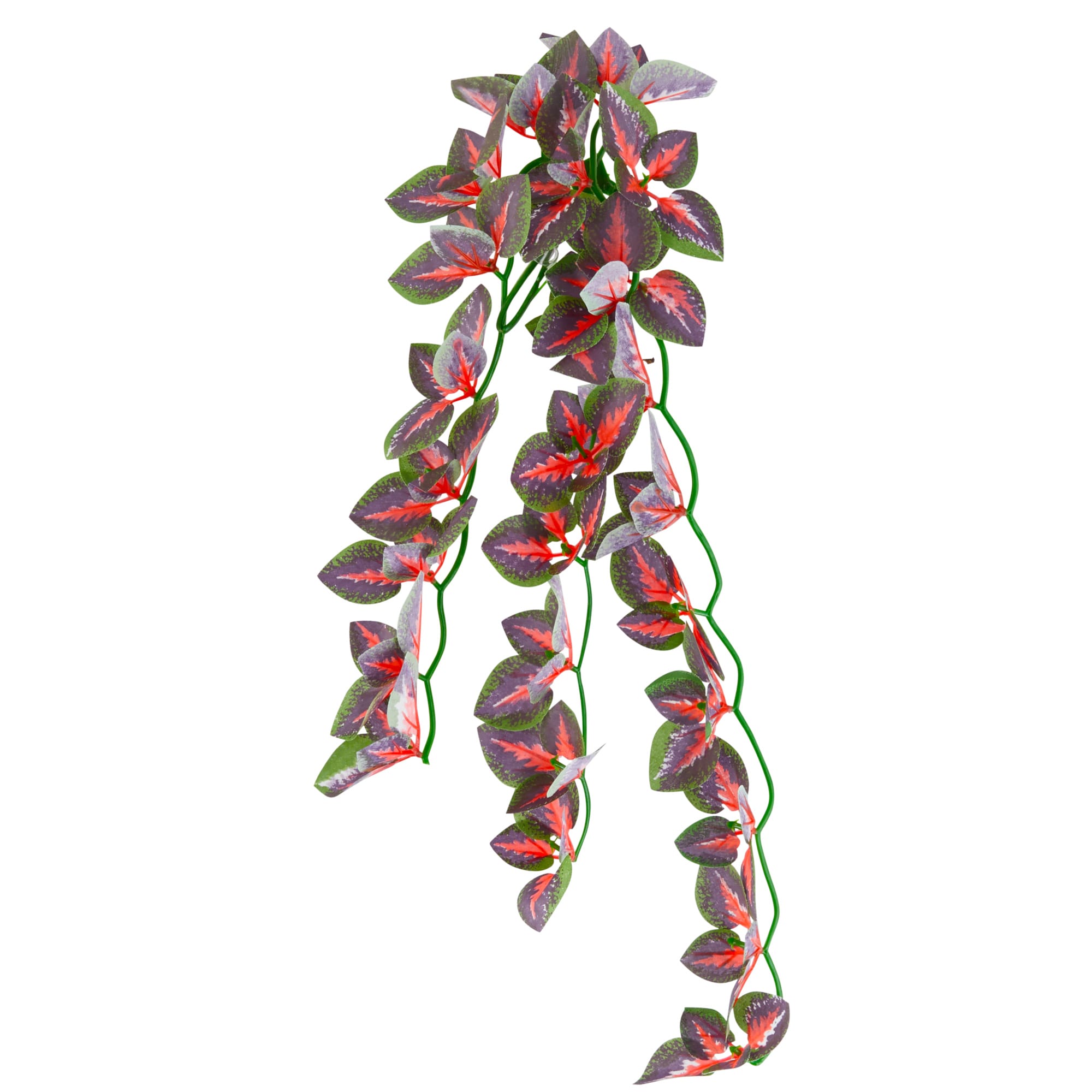 Imagitarium Hanging Red Silk Plant, Medium