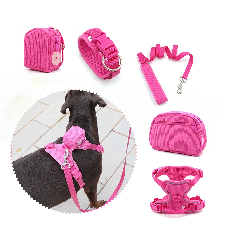 Dropshipping products 2024 fancy dog leash set padded luxury dog harness custom pet harness dog collar custom cat pet collar
