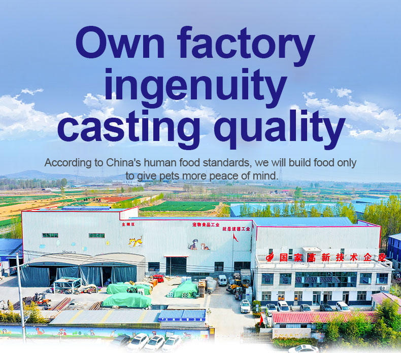 Cheap And High Quality Oem Low Temperauter Baking High Nutrition Absorption Cat Food