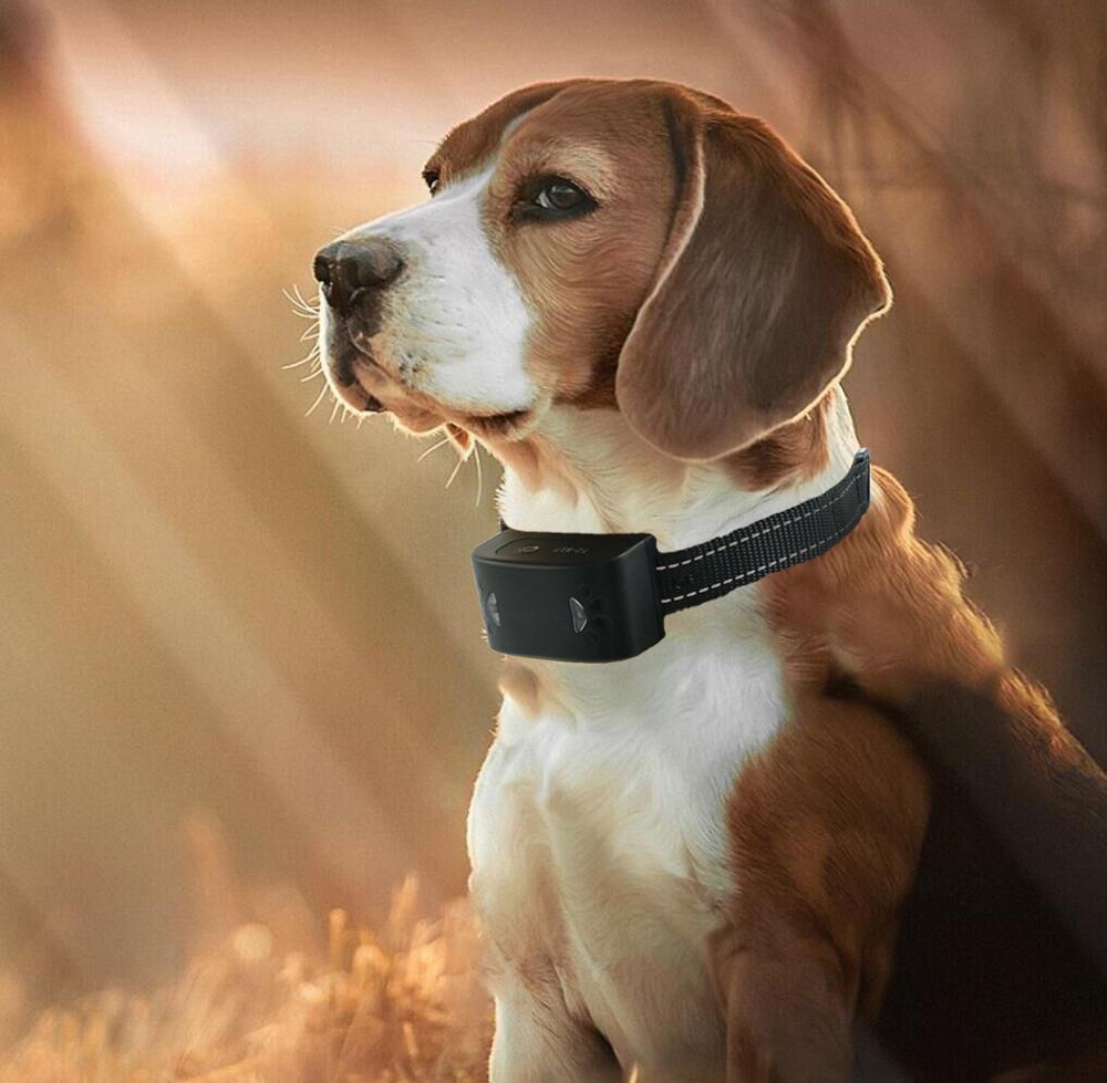 Hot Sell Dog Slave Collar Pet Remote Control Training Collar Anit Bark Collar