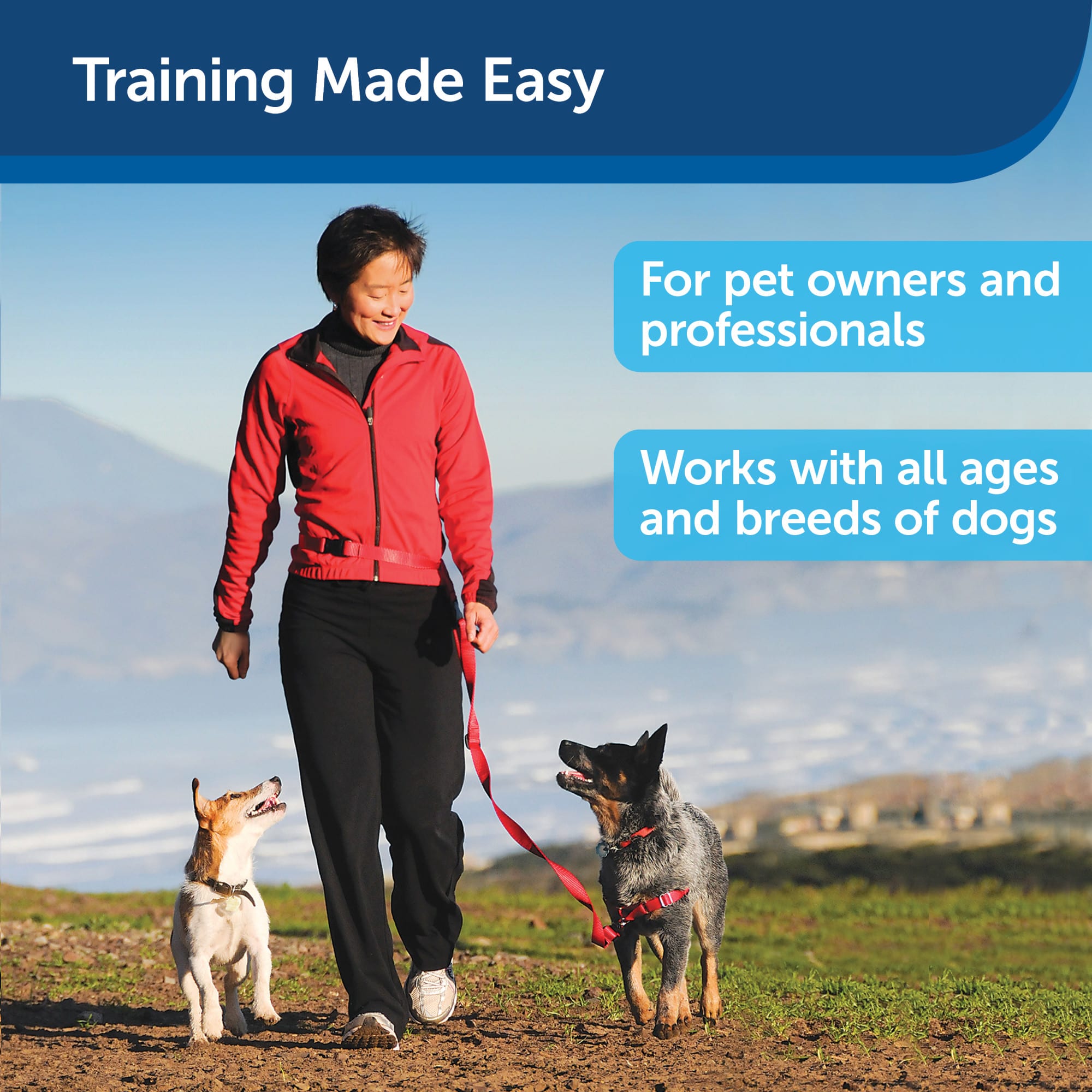 PetSafe Treat & Train Manners Minder Remote Reward Dog Trainer