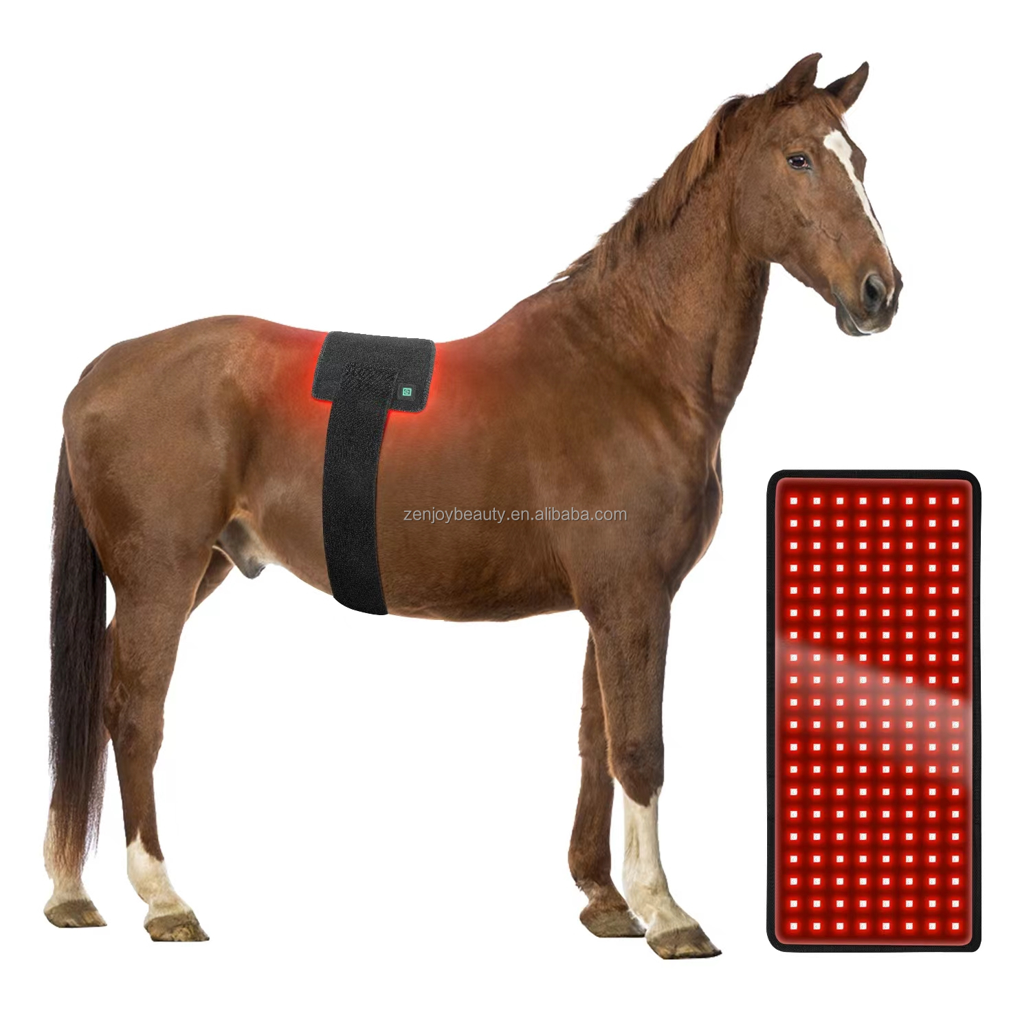 2024 Built-in Battery Wireless 660nm 850nm LED Red Light Infrared Light Pet Therapy Mat Horse Leg Red Light Therapy Pad