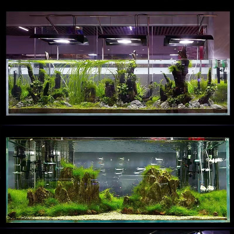 China Wholesale 5 in 1 Mini Fiberglass Aquarium Betta Fish Tank Aquaculture Desktop Mini Fish Tank