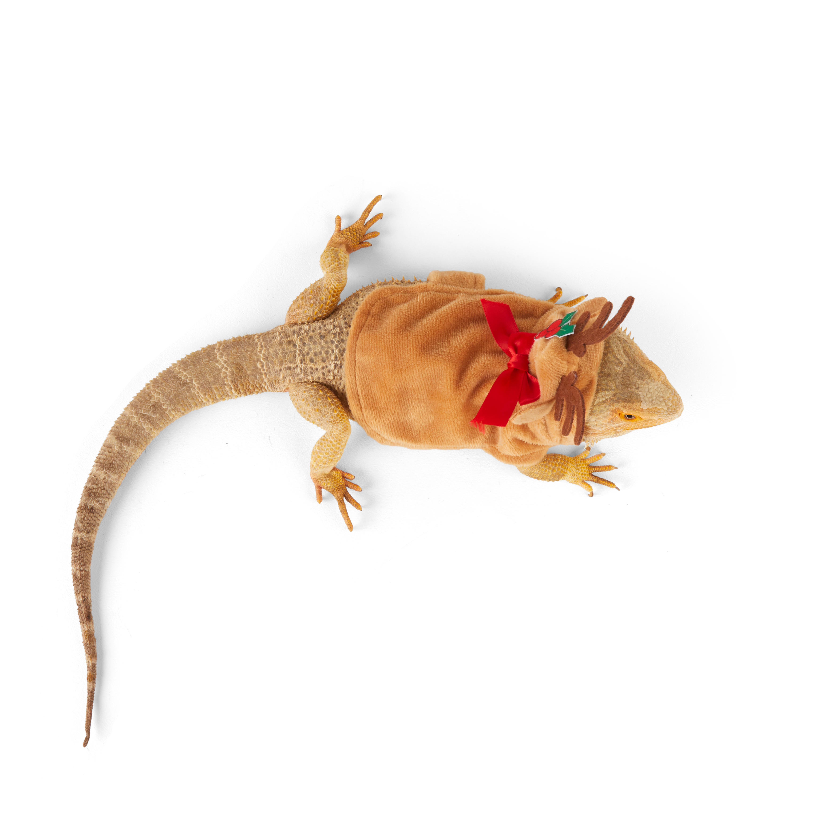Merry Makings Reindeer Costume for Reptiles, Brown
