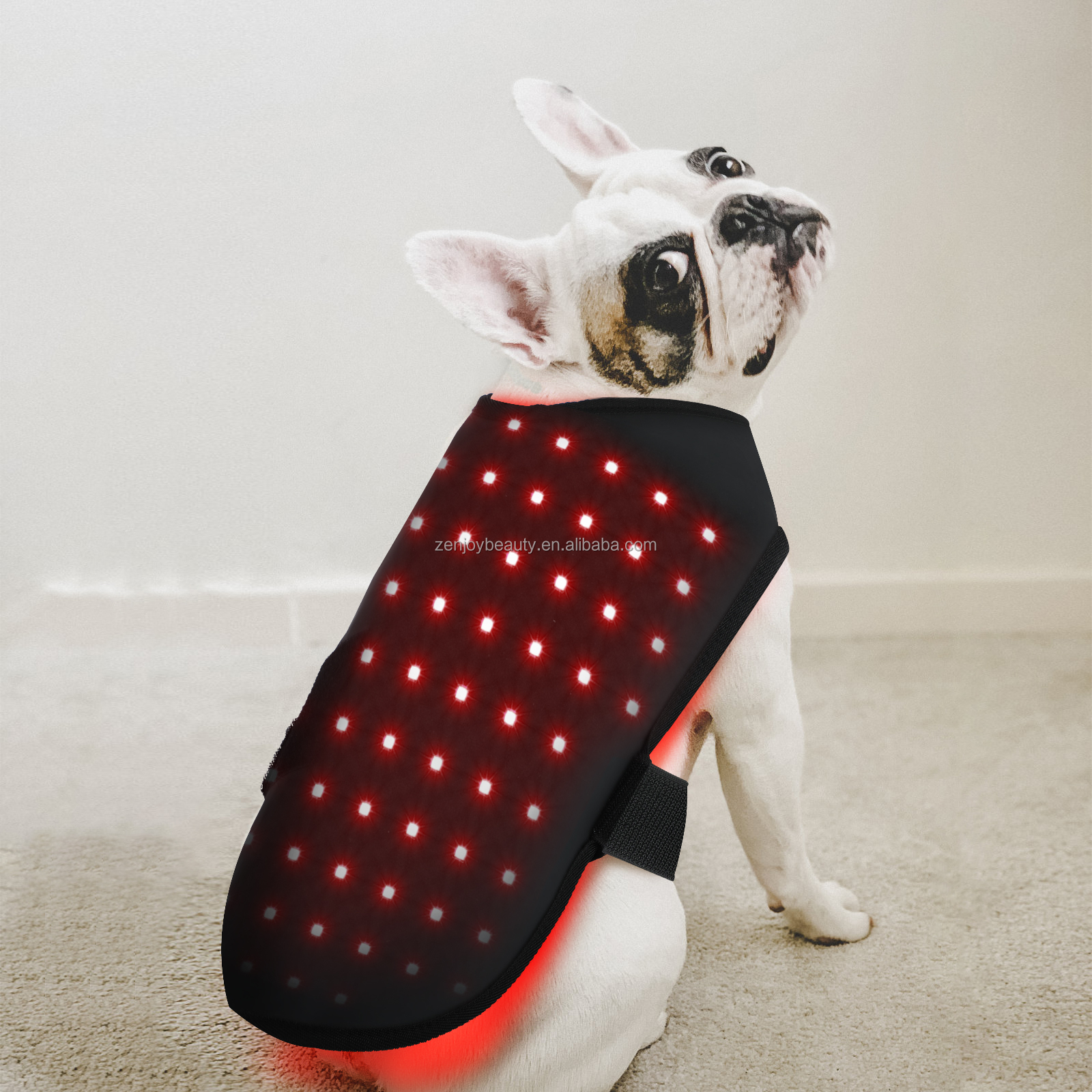 2024 Wholesale home use pet dog care infrared red light therapy belt red LED light therapy wrap for dogs