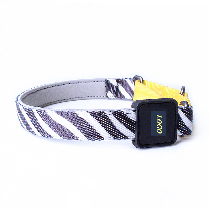Nylon martingale dog collar luxury paracord neoprene dog collars custom