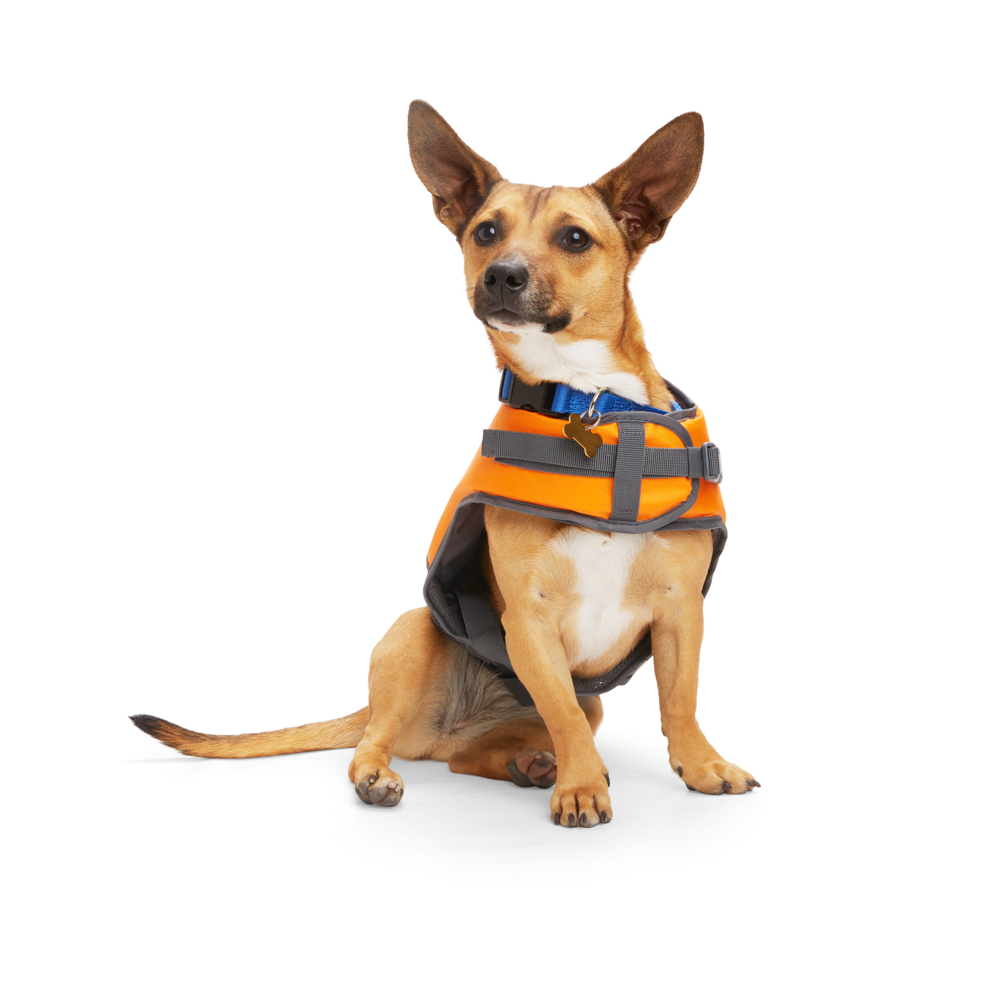YOULY Orange/Blue Dog Float, X-Small