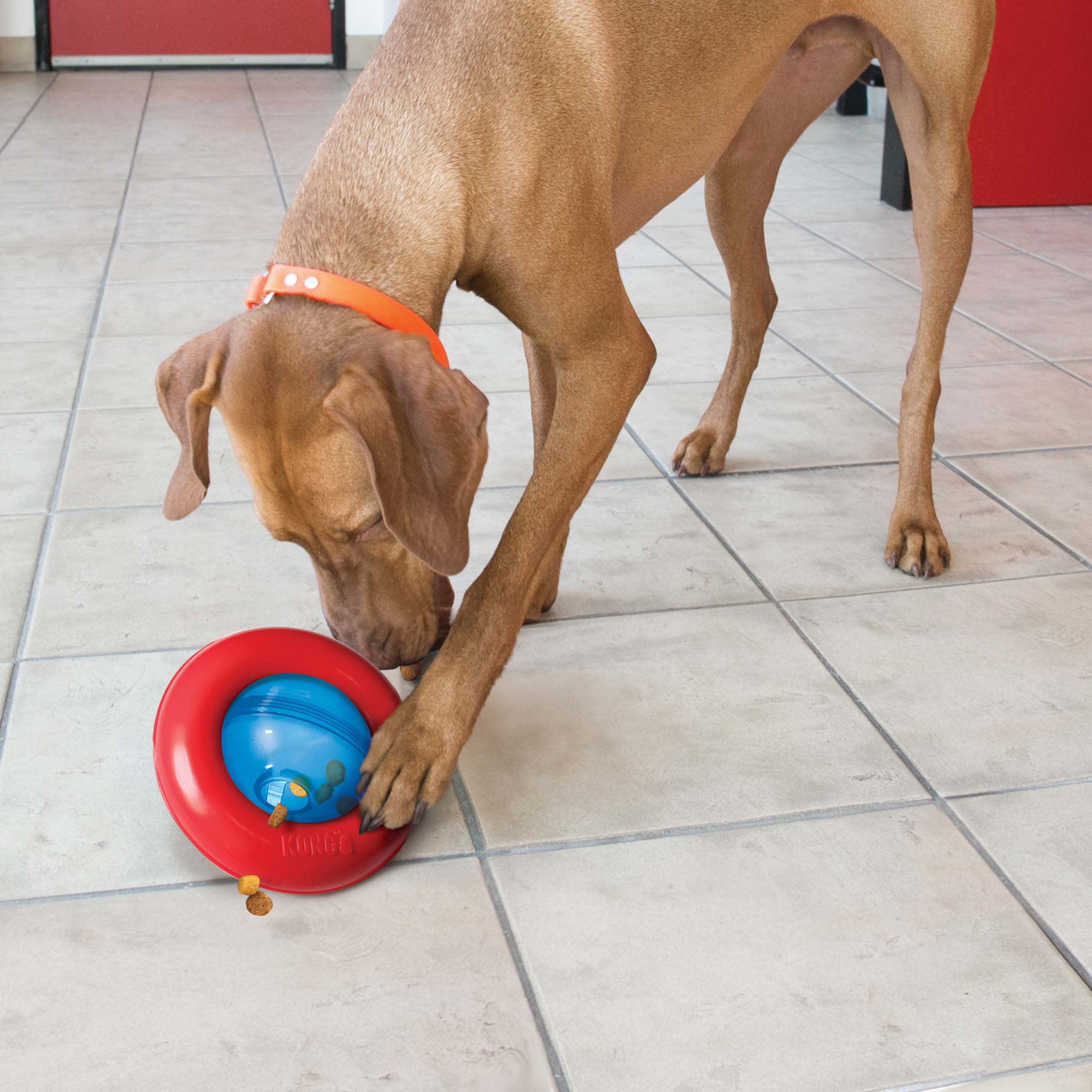KONG Gyro Dog Toy, Large