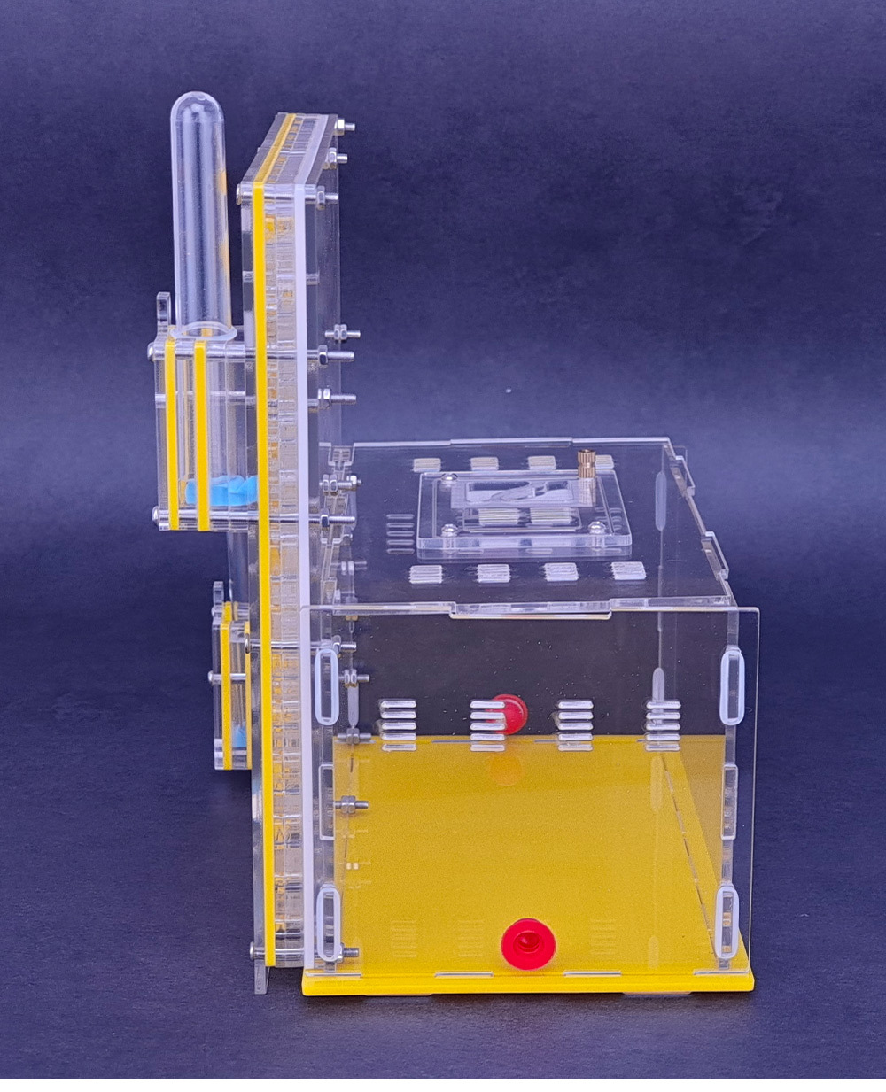 Large space ant nest formicarium ant farm for ants