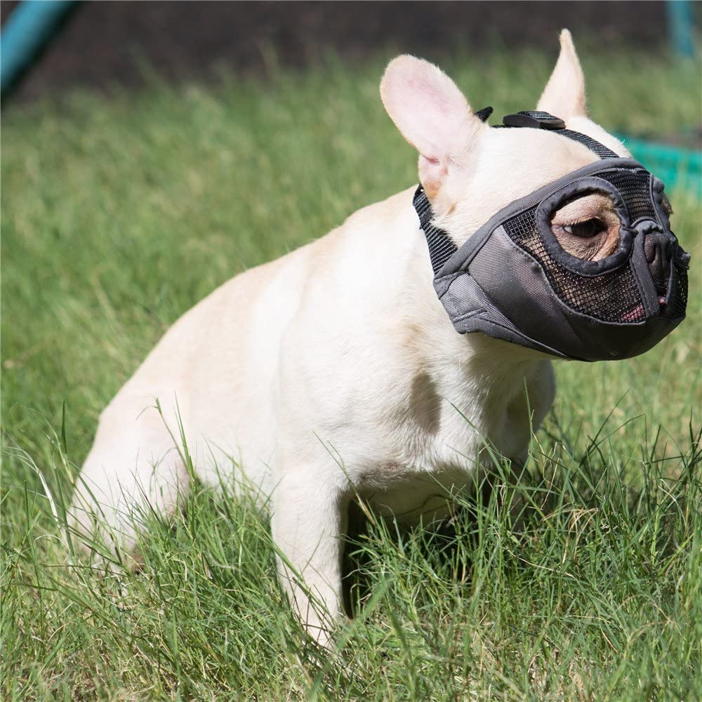 Top Popular Pet Short Snout Dog Muzzles Adjustable Breathable Mesh Bulldog Muzzle for Biting Chewing Barking Training Dog Mask