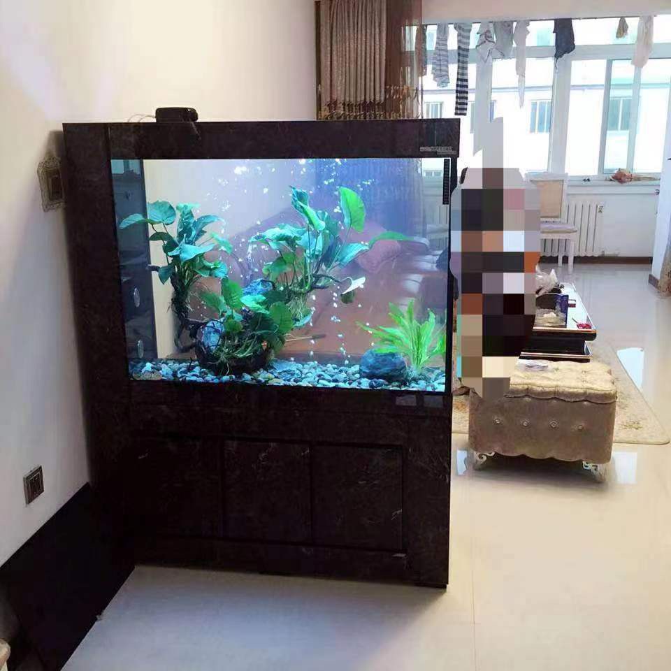 Koi Fish Landscape Aquariums & Accessories Fish Tank Fish Tank House Ultra Clear Glass Office 12mm for Aquarium 500L 148x150