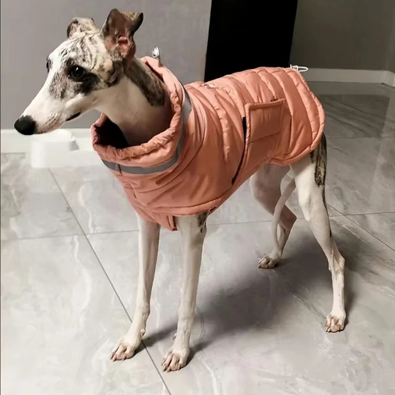 Windbreak Pet Clothes Winter Warm Thicken Puppy Dog Down Jacket for Small Medium Dogs Whippet Greyhound Coats mascotas Clothing 241125
