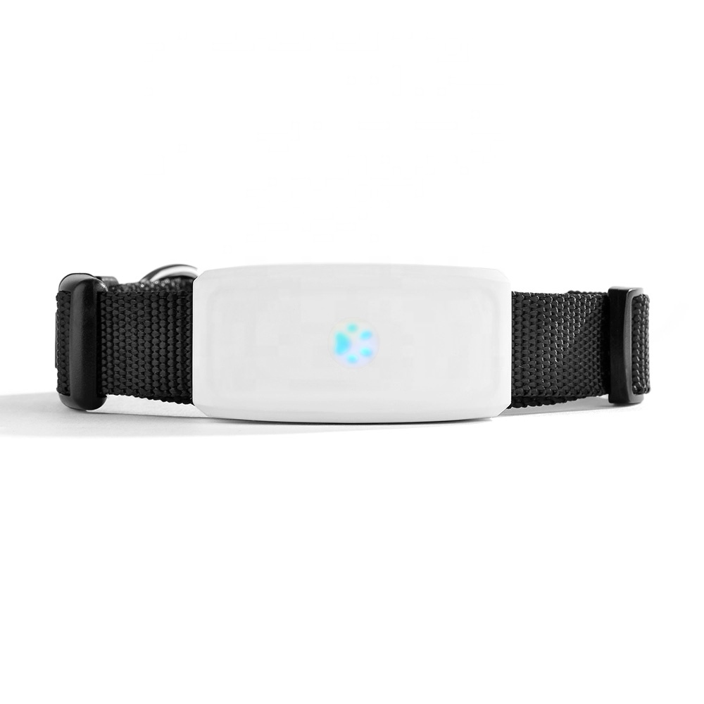 Waterproof cat mini pet tracker gps world smallest dog collar tracking pet long battery life coin size TK911 tkstar cat gps