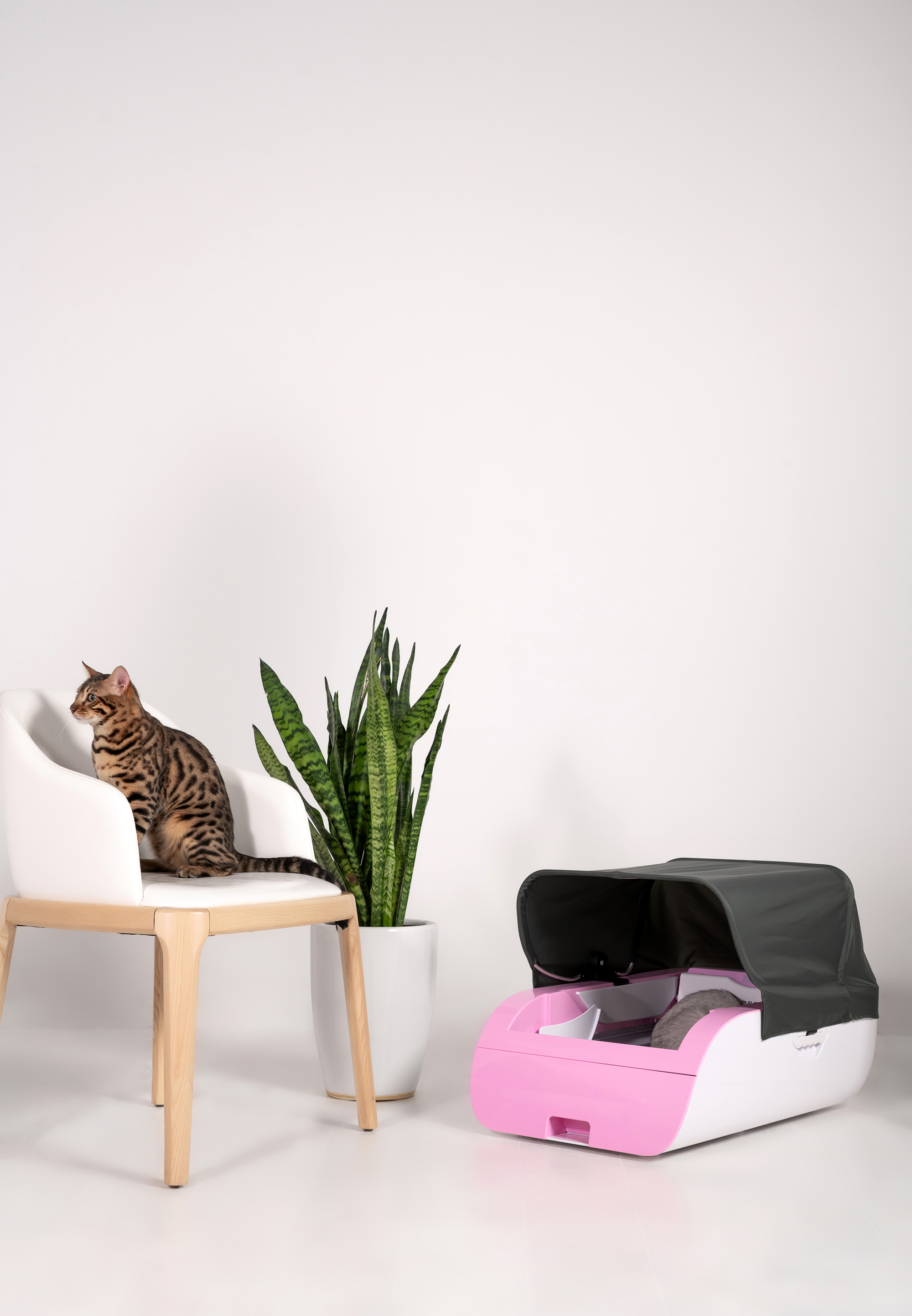 Luxury Large App Control Version open style Self Cleaning Automatic Cat litter box toilet