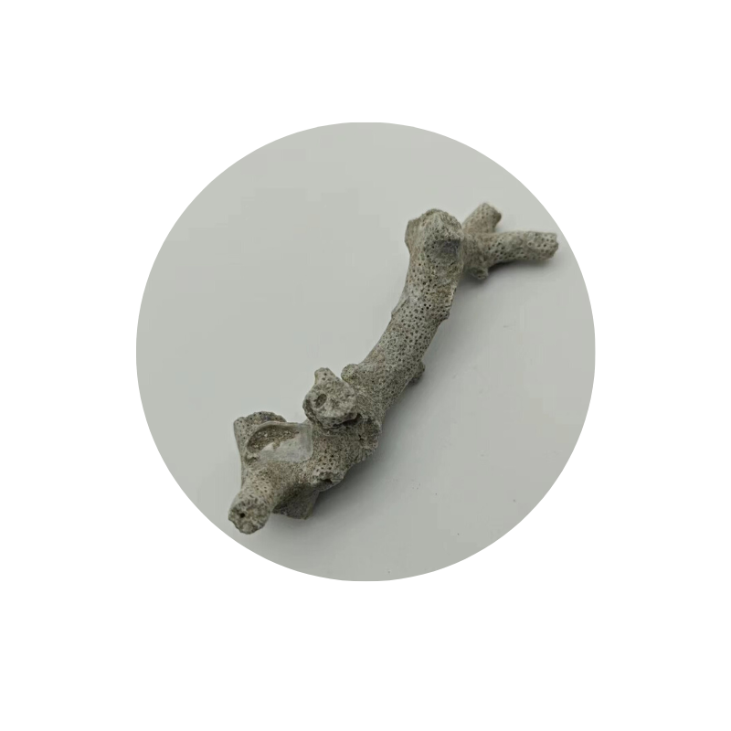 philippines coral sand for aquariums Fly off the shelves taiwan coral sand Complete specifications sand frag plug coral