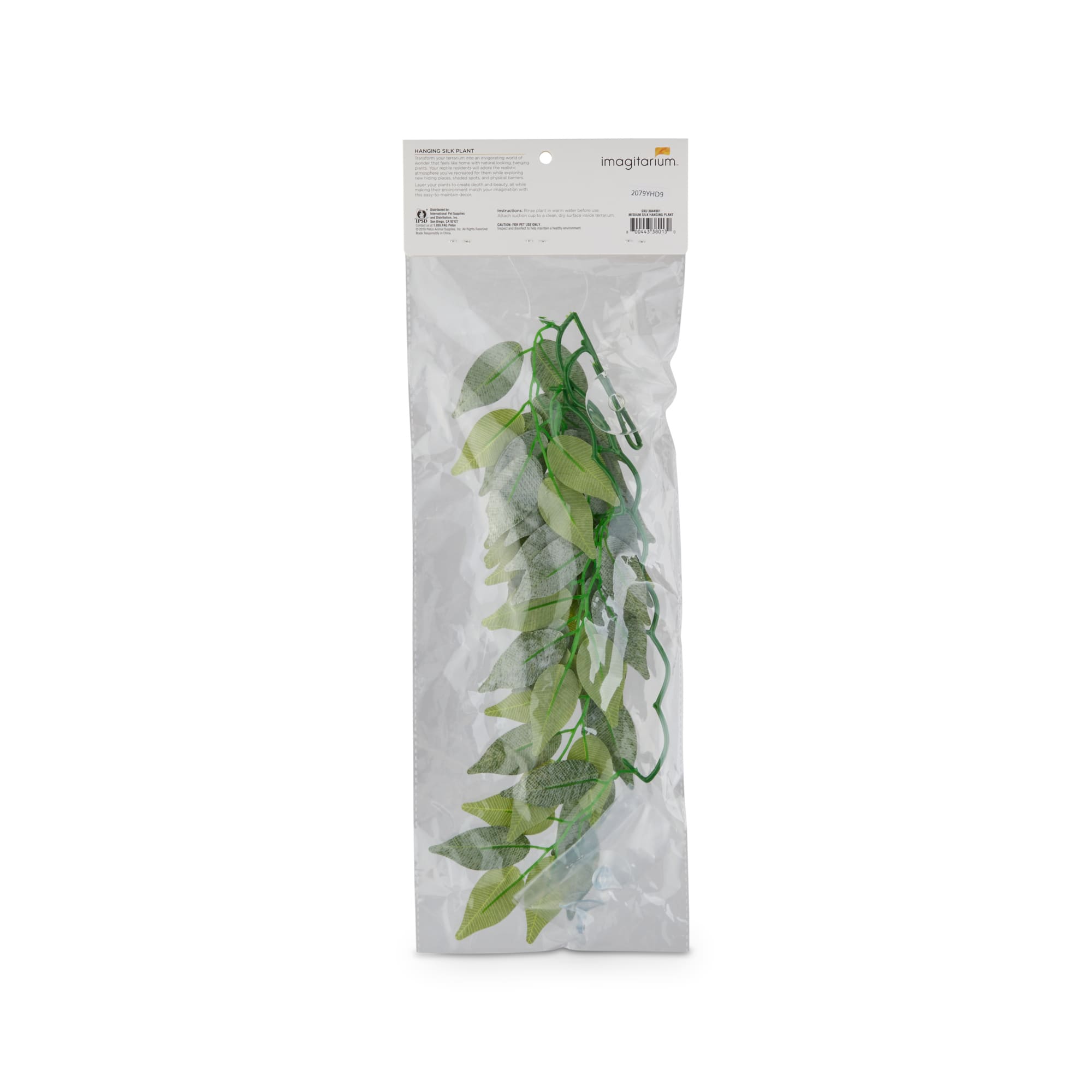 Imagitarium Hanging Silk Plant, Medium