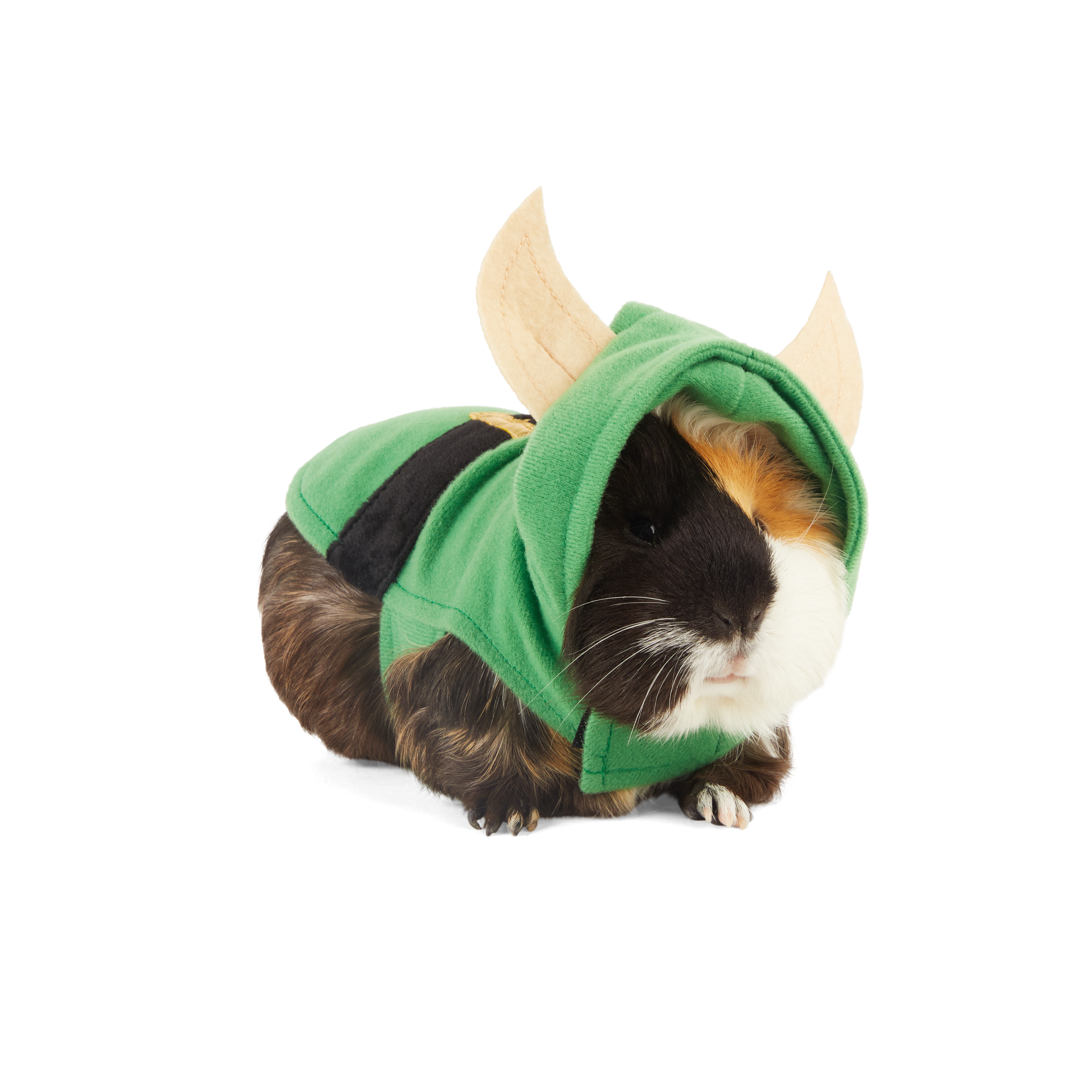 Merry Makings Elf Costume for Small Animals, Green