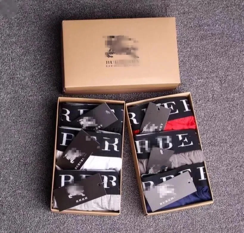 designer Underwear Summer fashion letter embroidery Boxers Breathable Mens Underpants Shorts