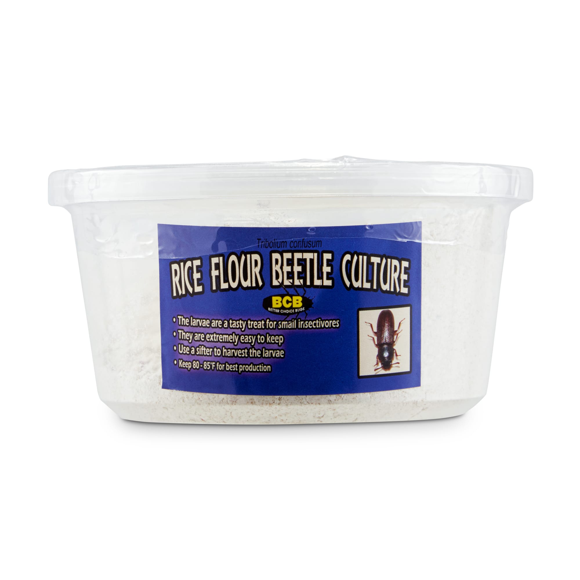 Rice Flour & Isopod Culture Combo Pack