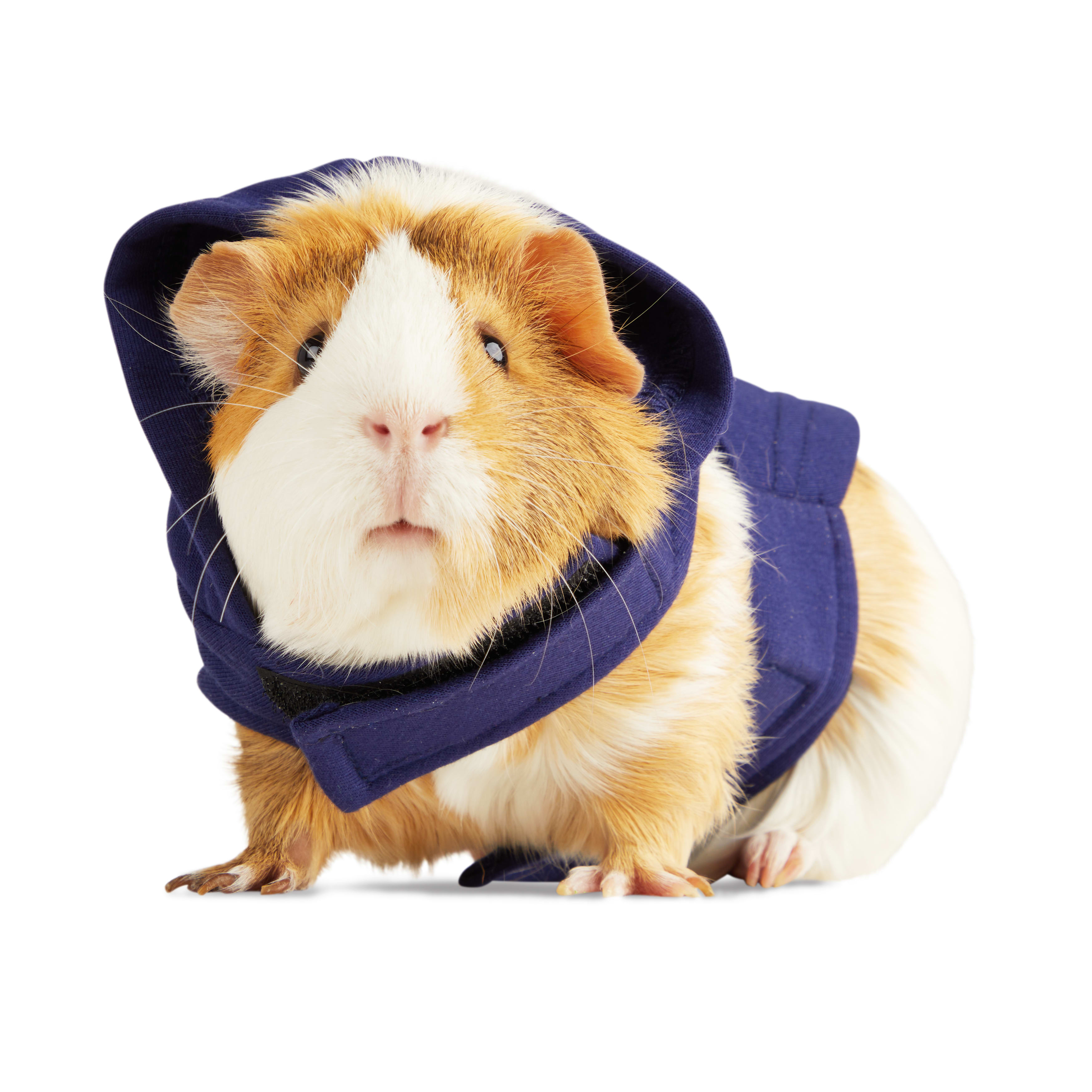 YOULY Be You Small Animal Dog Hoodie, Blue