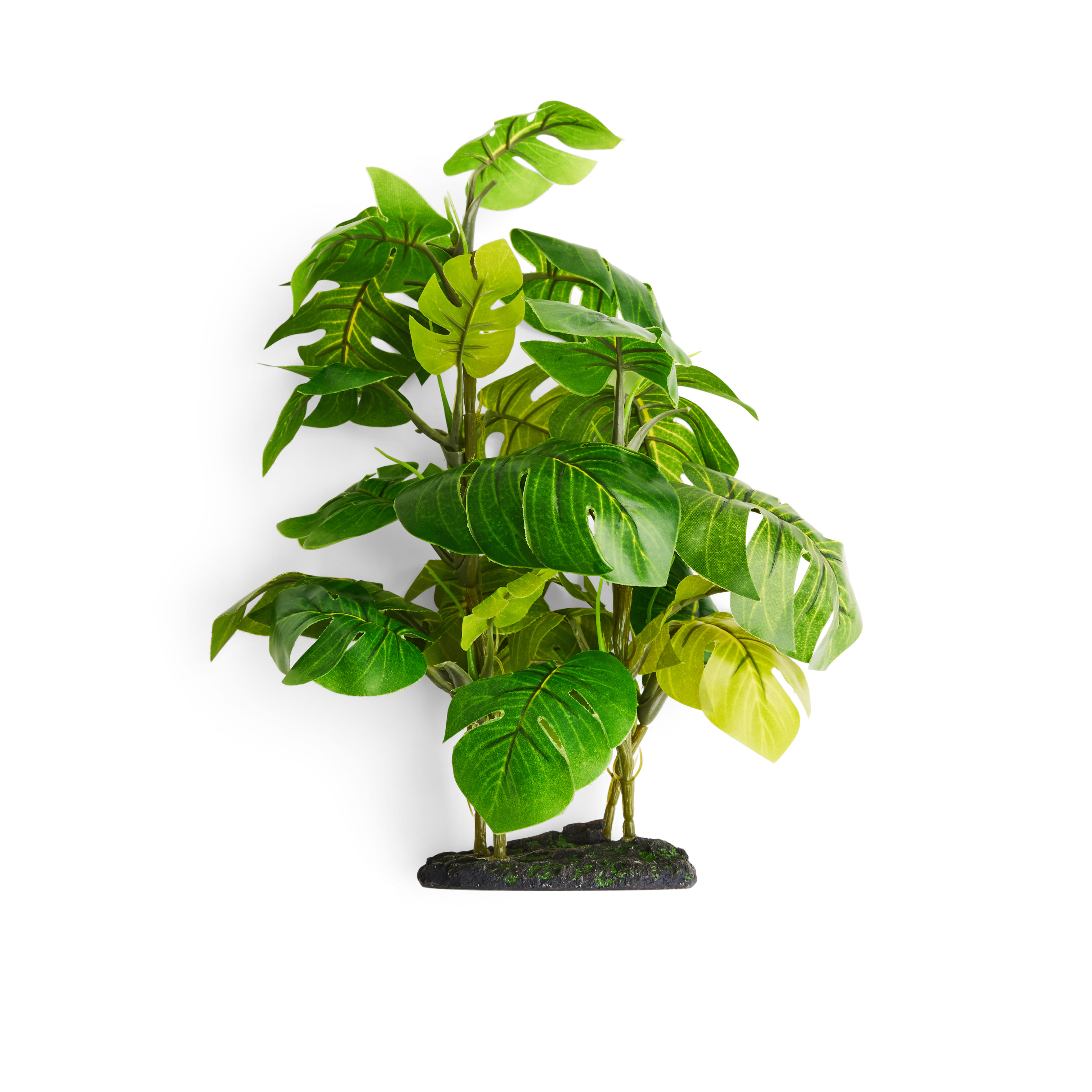 Imagitarium Stand Araceae Plant Terrarium Decor, Small