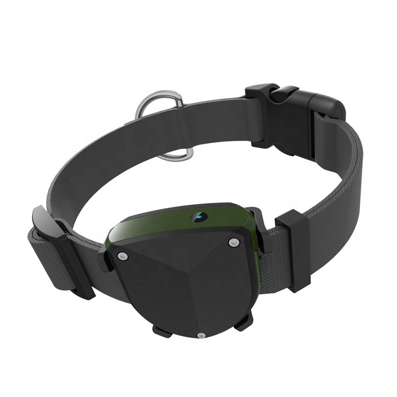Hot selling waterproof IP67 gsm pet tracker for cat pet dogs gsm gps tracking with free app and long battery life