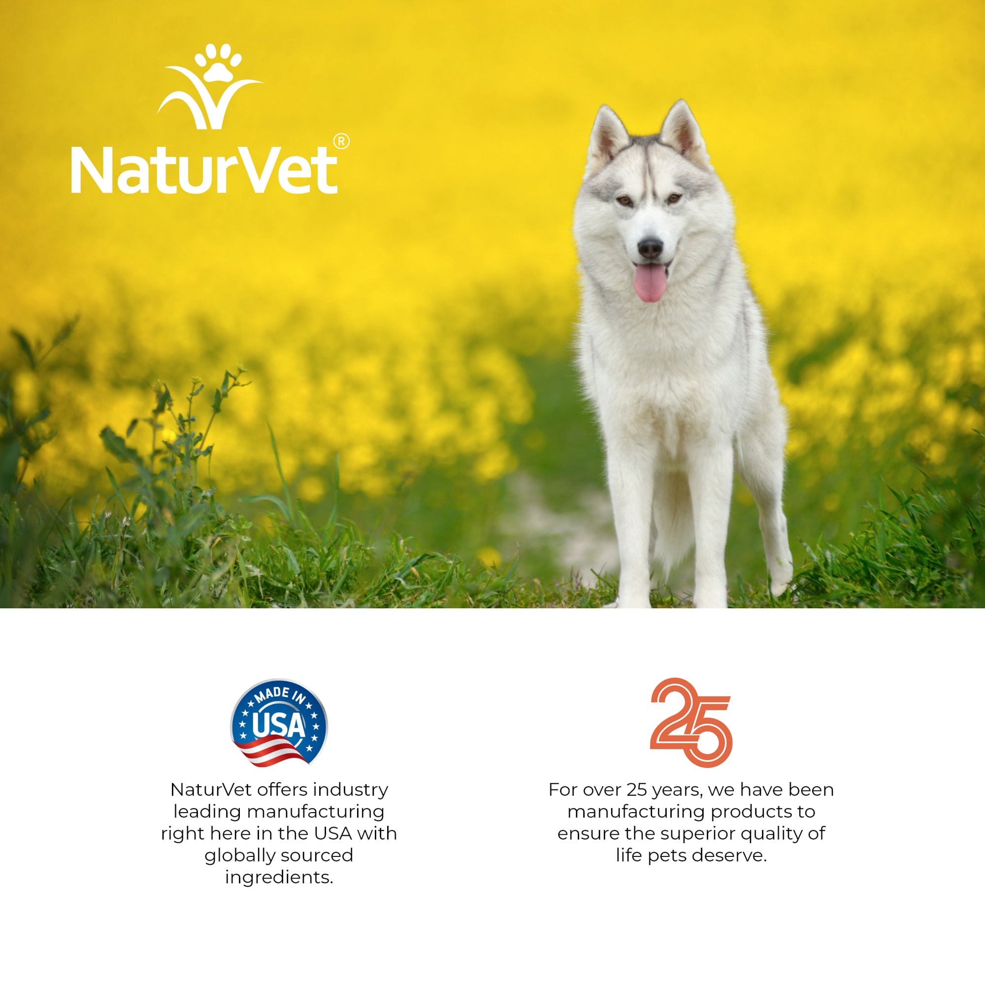 NaturVet Hemp Deodorizing Shampoo for Dogs, 16 fl. oz.