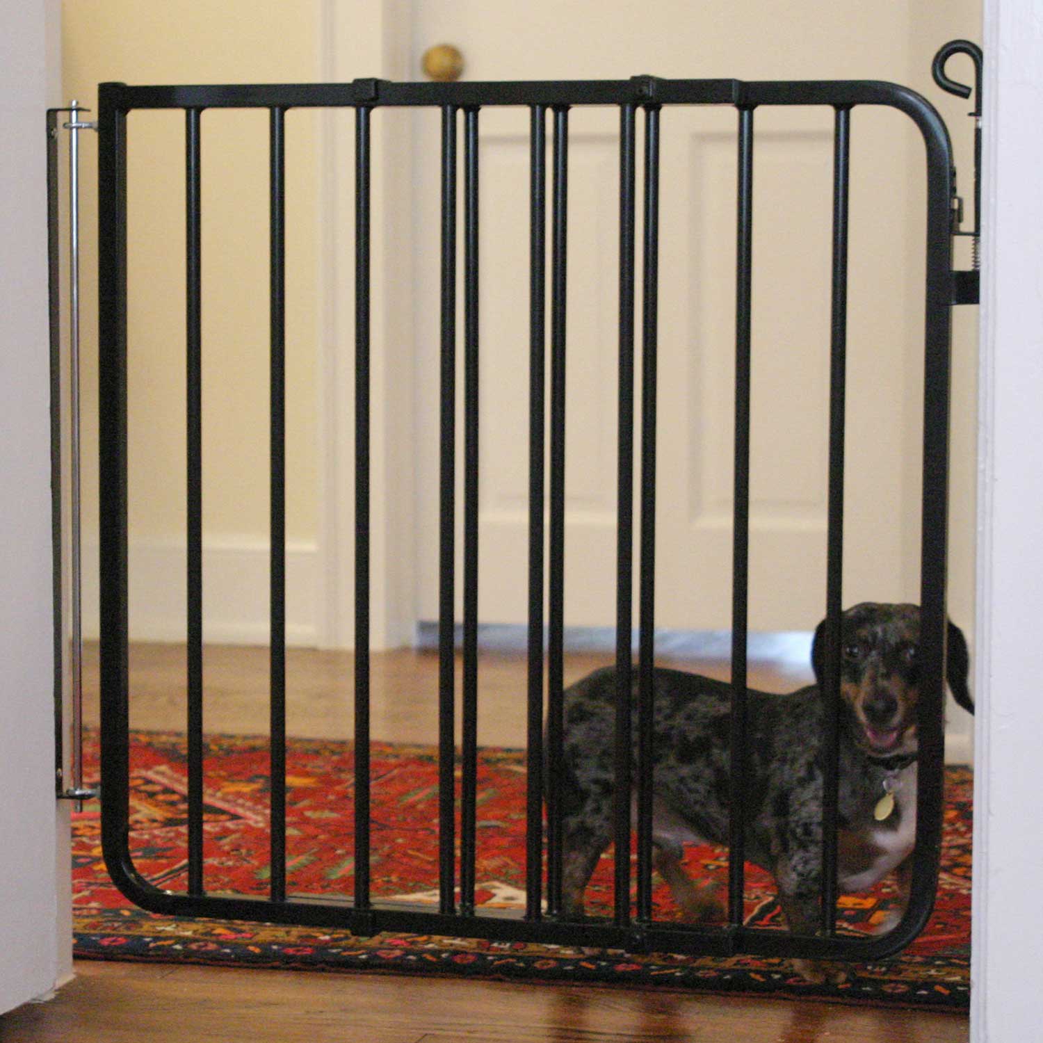 Cardinal Gates Black Auto-Lock Pet Gate, 1" L X 40.5" W X 29.5" H