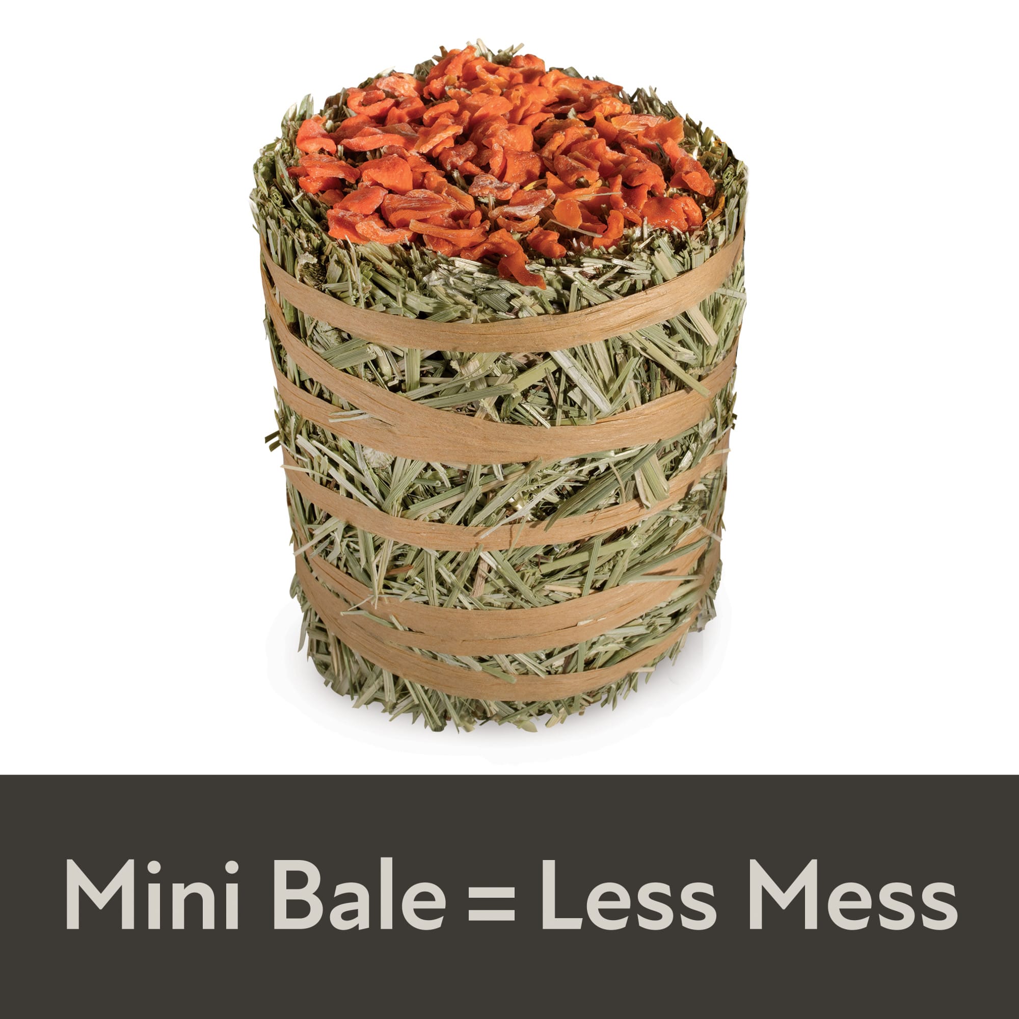 Kaytee Field+Forest Carrot Mini Hay Bale, 3.5 oz.