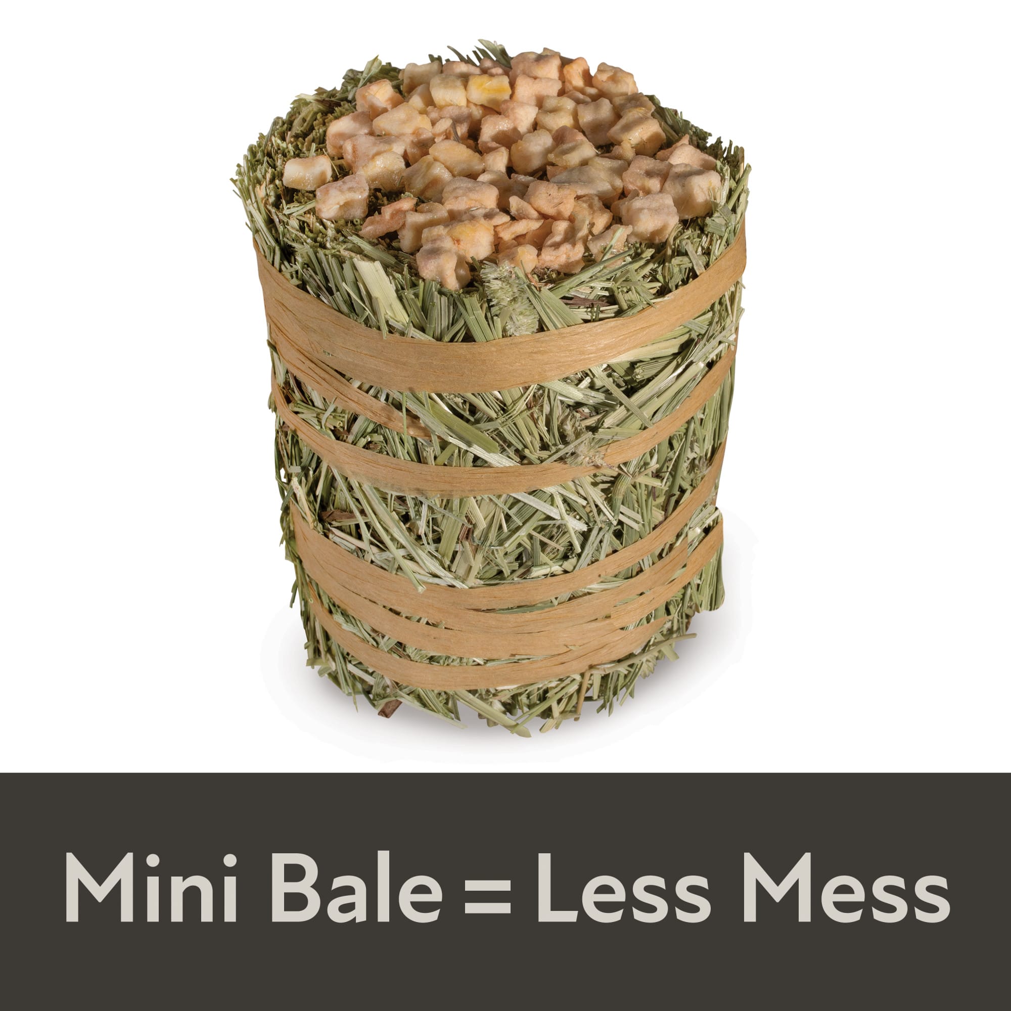 Kaytee Field+Forest Apple Mini Hay Bales, 3.5 oz.