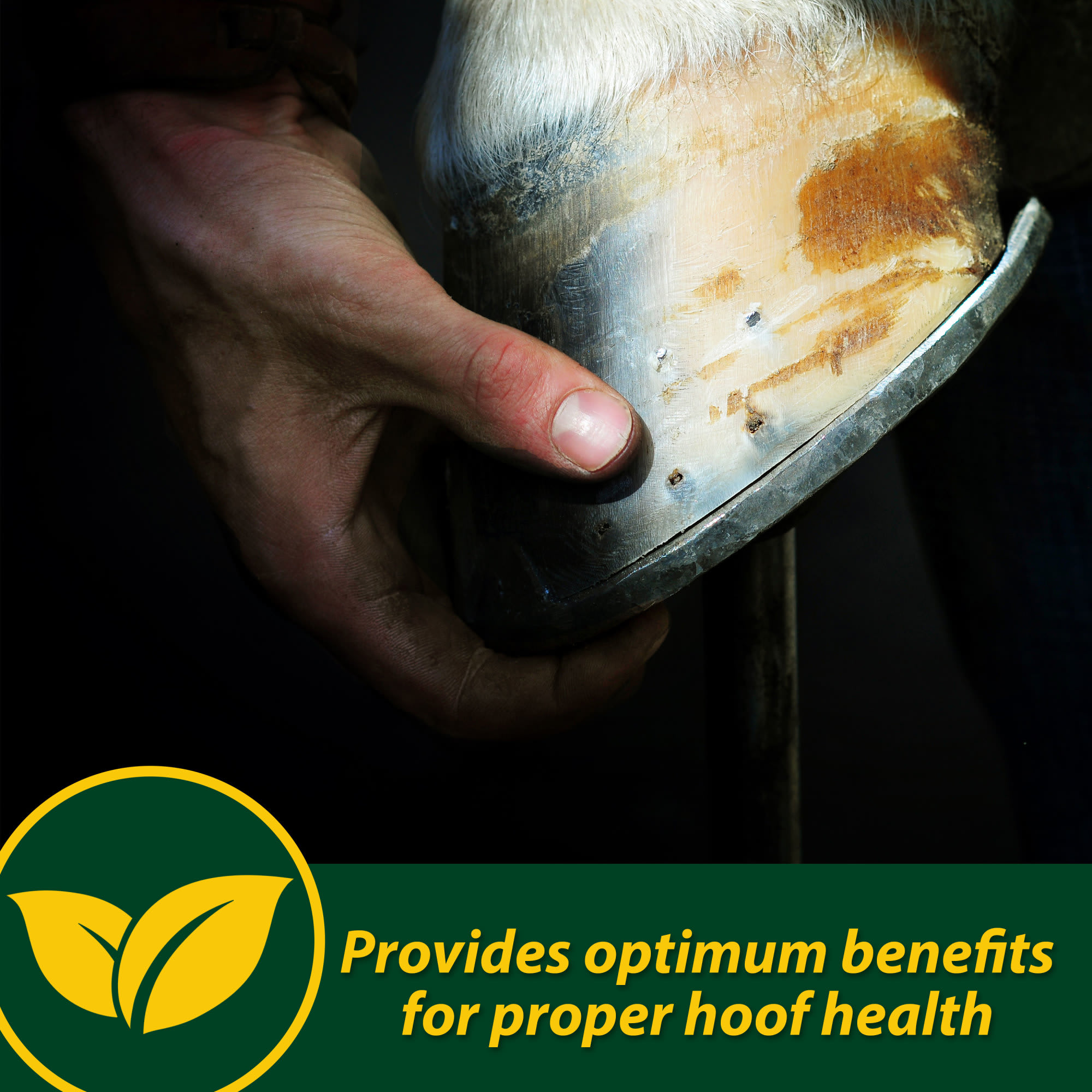 Farnam Horseshoer's Secret Pelleted Hoof 60 Day Supplement, 22 lbs.