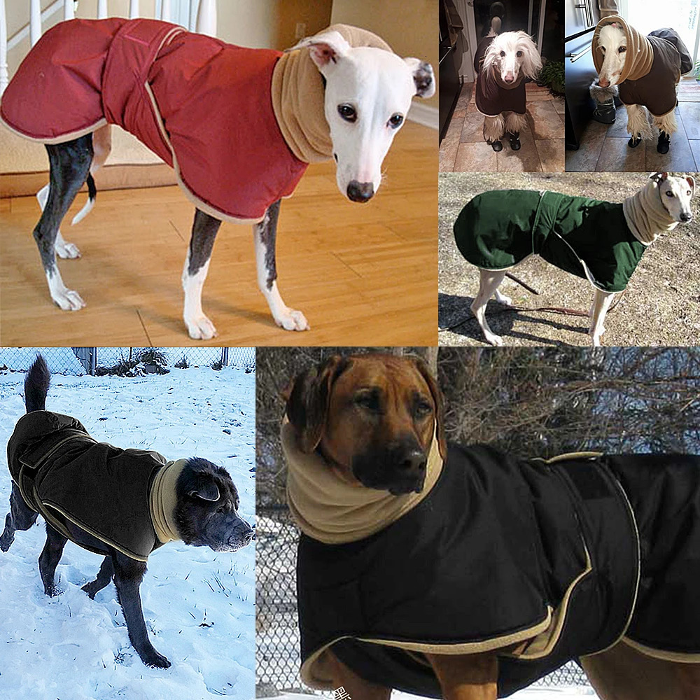Winter Warm Pet Dog Clothes Waterproof Dog Jacket For Medium Large Dogs Thick Dogs Clothing Coat Greyhound Wolfhound Shepherd 241125