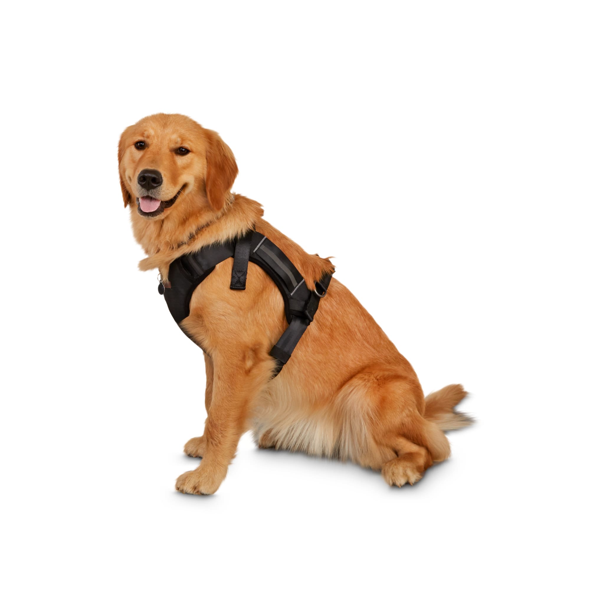 Reddy Road Trip Crash-Tested Dog Harness, Large