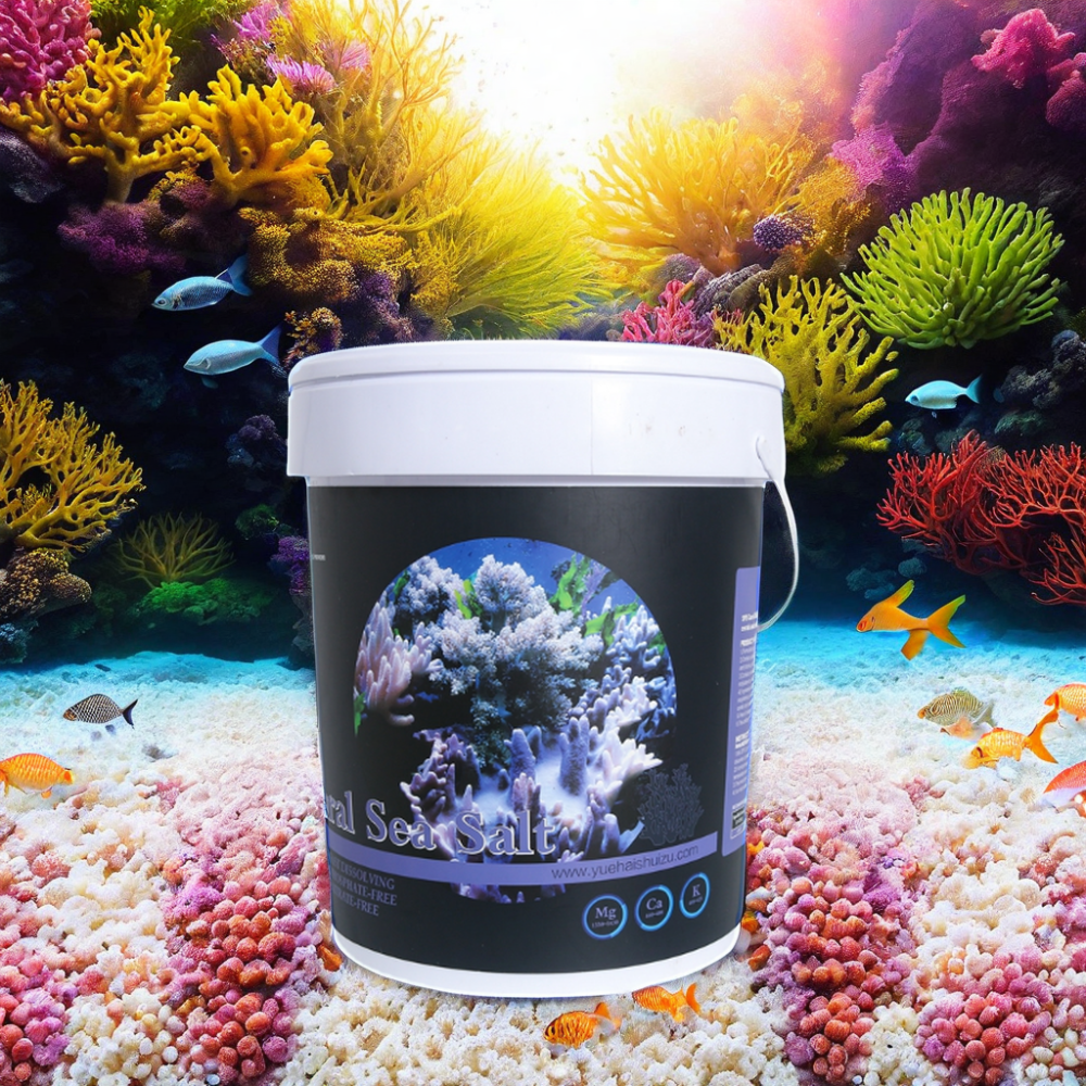 Factory Wholesale Big Discount cerebos sel dead sea mineral salt 20KG 25KG OEM Package private Label SPS Coral reef sea salt