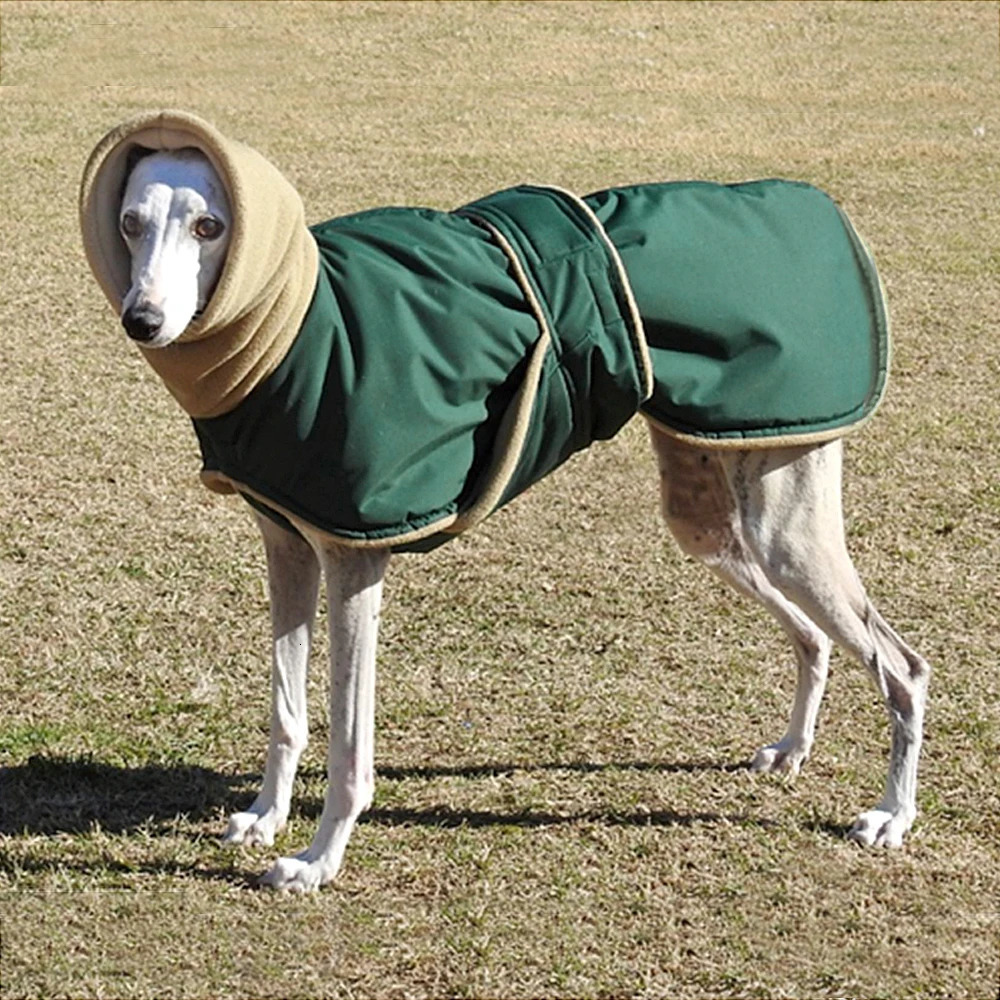 Winter Warm Pet Dog Clothes Waterproof Dog Jacket For Medium Large Dogs Thick Dogs Clothing Coat Greyhound Wolfhound Shepherd 241125