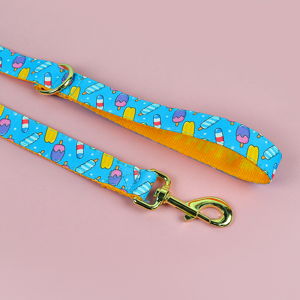 MIDEPET New Arrives Personalized Designer Pattern Luxury Sublimation Print Accept Training 5ft Long Dog Leashes