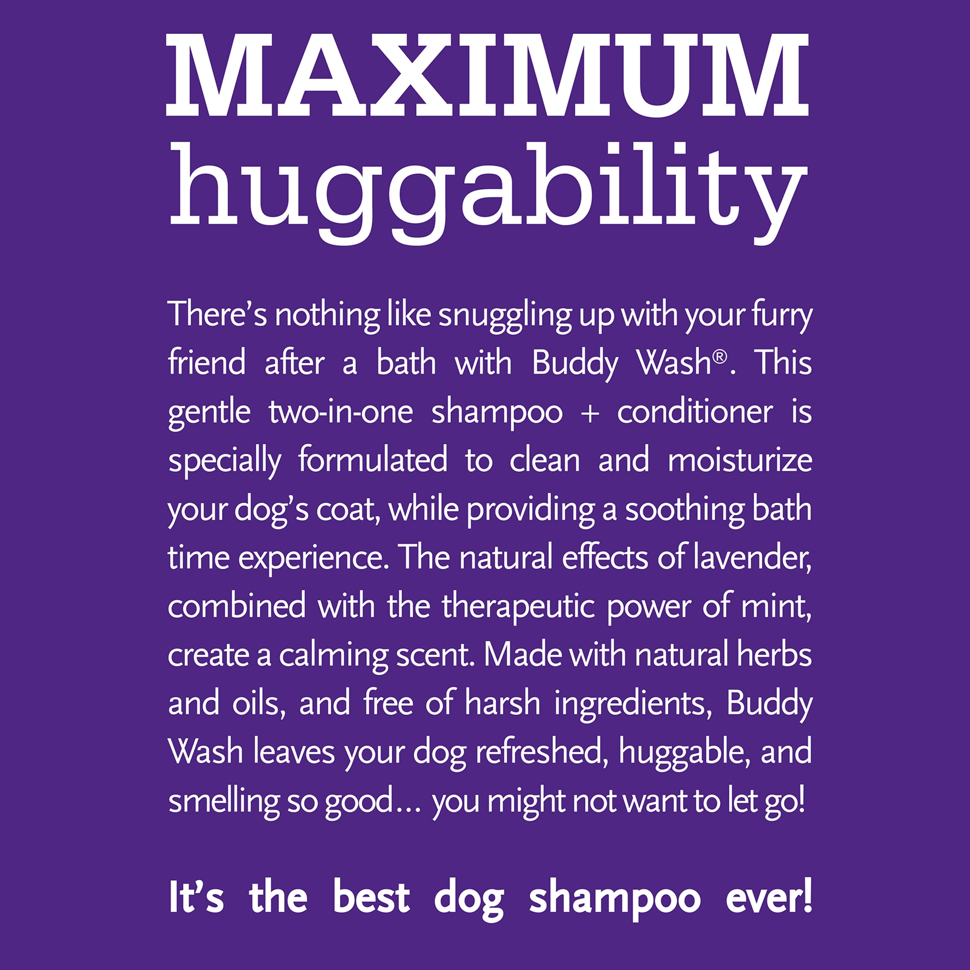 Cloud Star Buddy Wash Lavender & Mint 2 in 1 Dog Shampoo Plus Conditioner