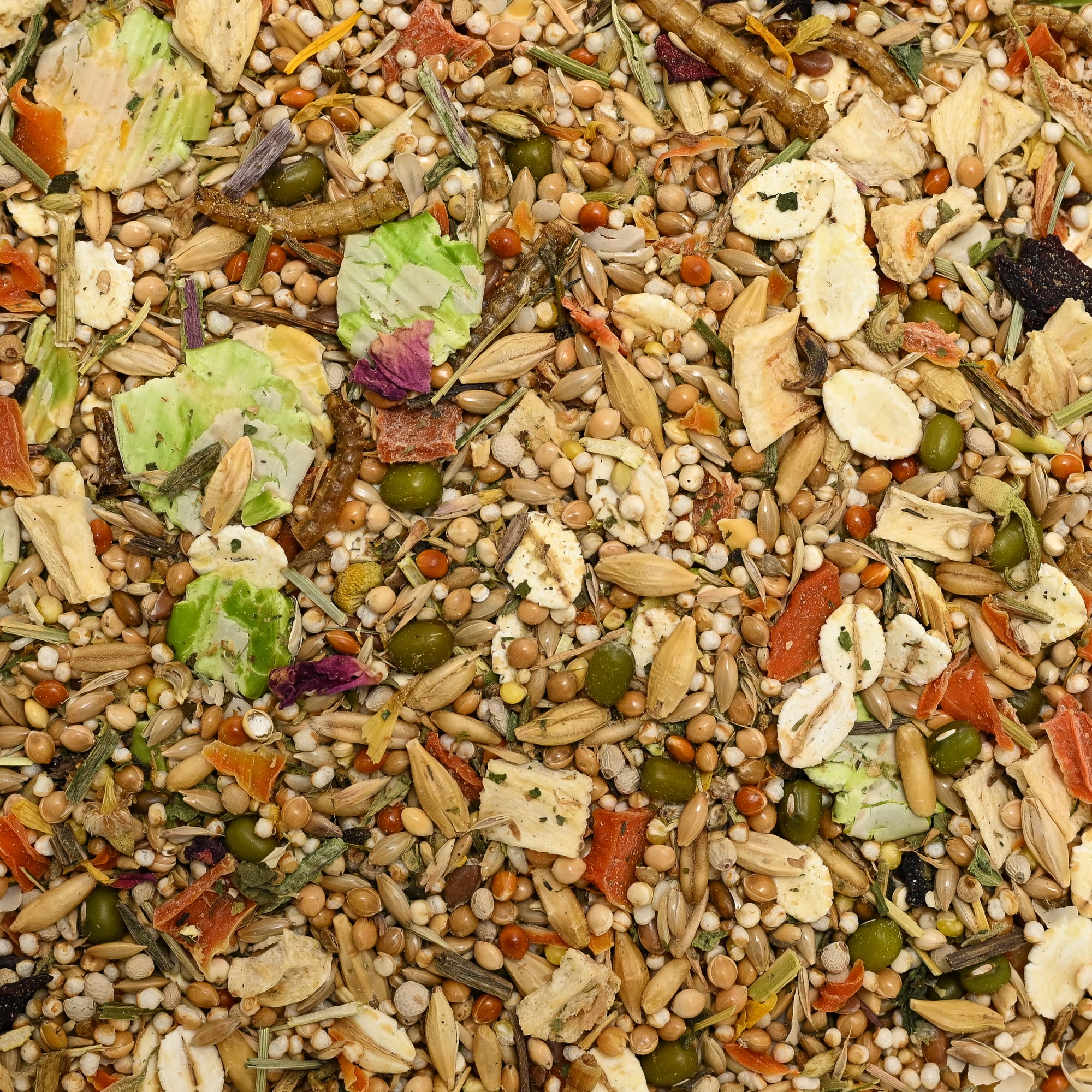 Bunny Nature Dwarf Hamster Dream Expert Dry Food, 500 Gram