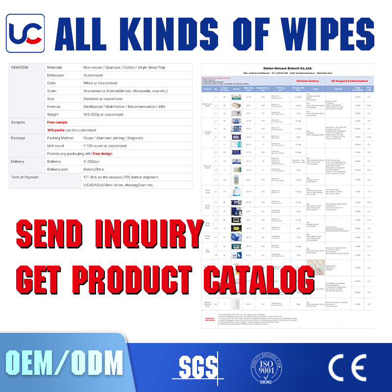 Wholesale 80 Pieces Eco Friendly Pet Cleaning Wipes For Dogs And Cats Custom Biodegradable Wet wipes Pet Grooming Wipes