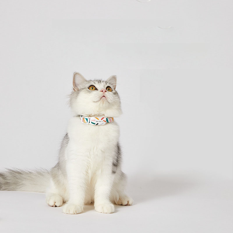 Pet Smart Cat Tag Dog Tag Activity Detection Wearable Device Bluetooth Record Health With Gps Pet Waterproof Tracker Collar