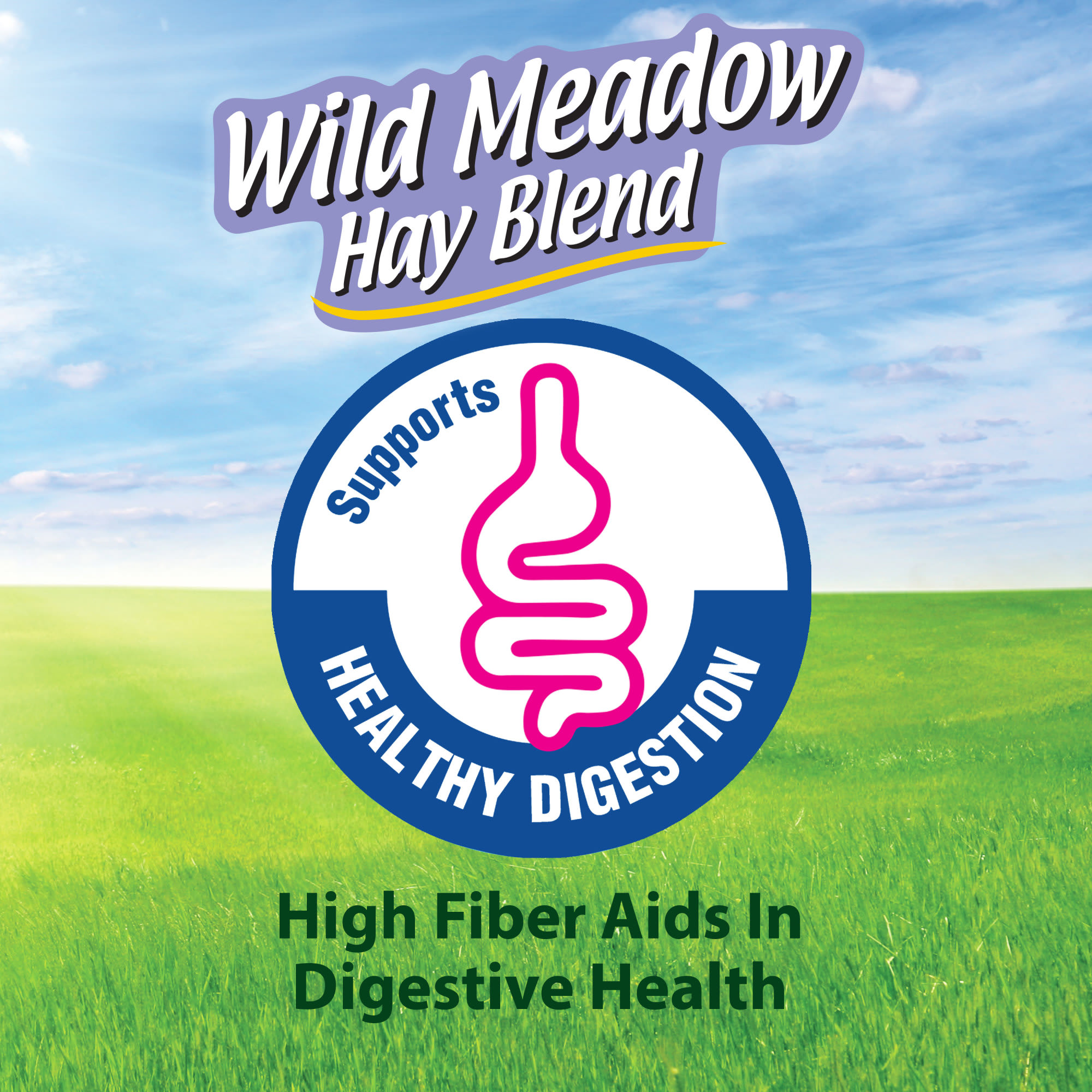 Kaytee Wild Meadow Hay Blend for Small Animals, 24 oz.
